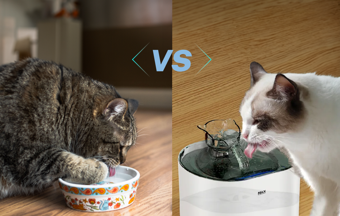 are elevated food bowls good for cats Elevated Cat Bowl Set – Non-Tip Stoneware, 4 Modern Finishes
