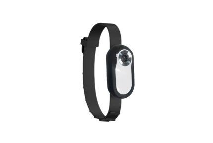 Cat Camera Collar CM02