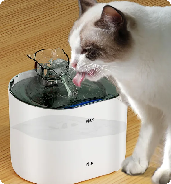 kitty water fountain for pet care