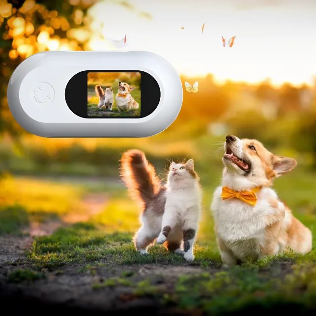 cat camera collar with built-in screen