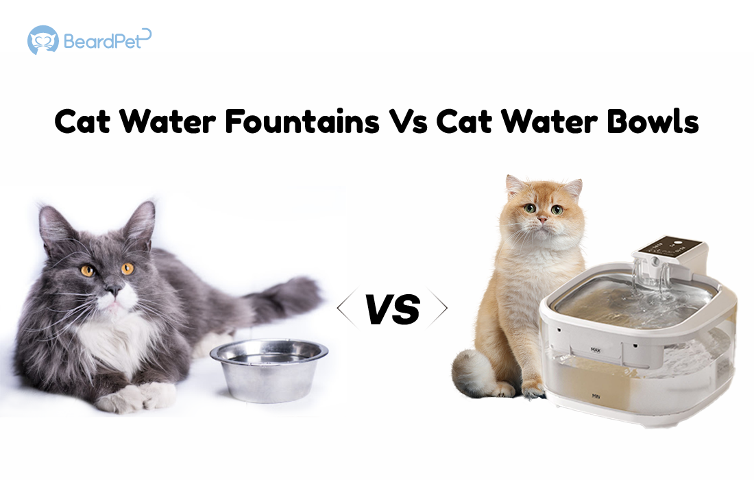 Cat Water Fountains vs Cat Water Bowls: The Great Hydration Debate -  ODM&OEM Smart Pet Products Manufacturer