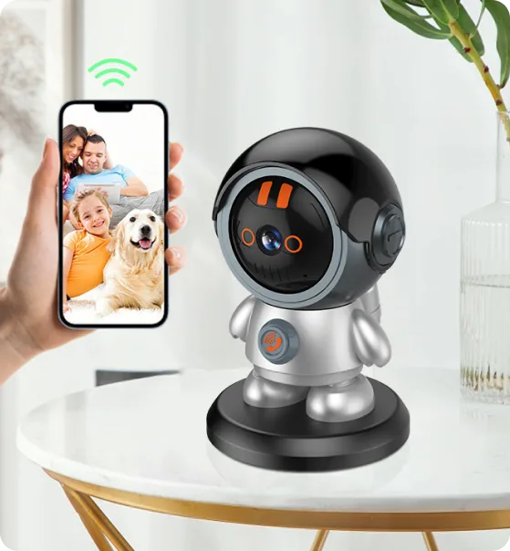 indoor camera with real time monitoring