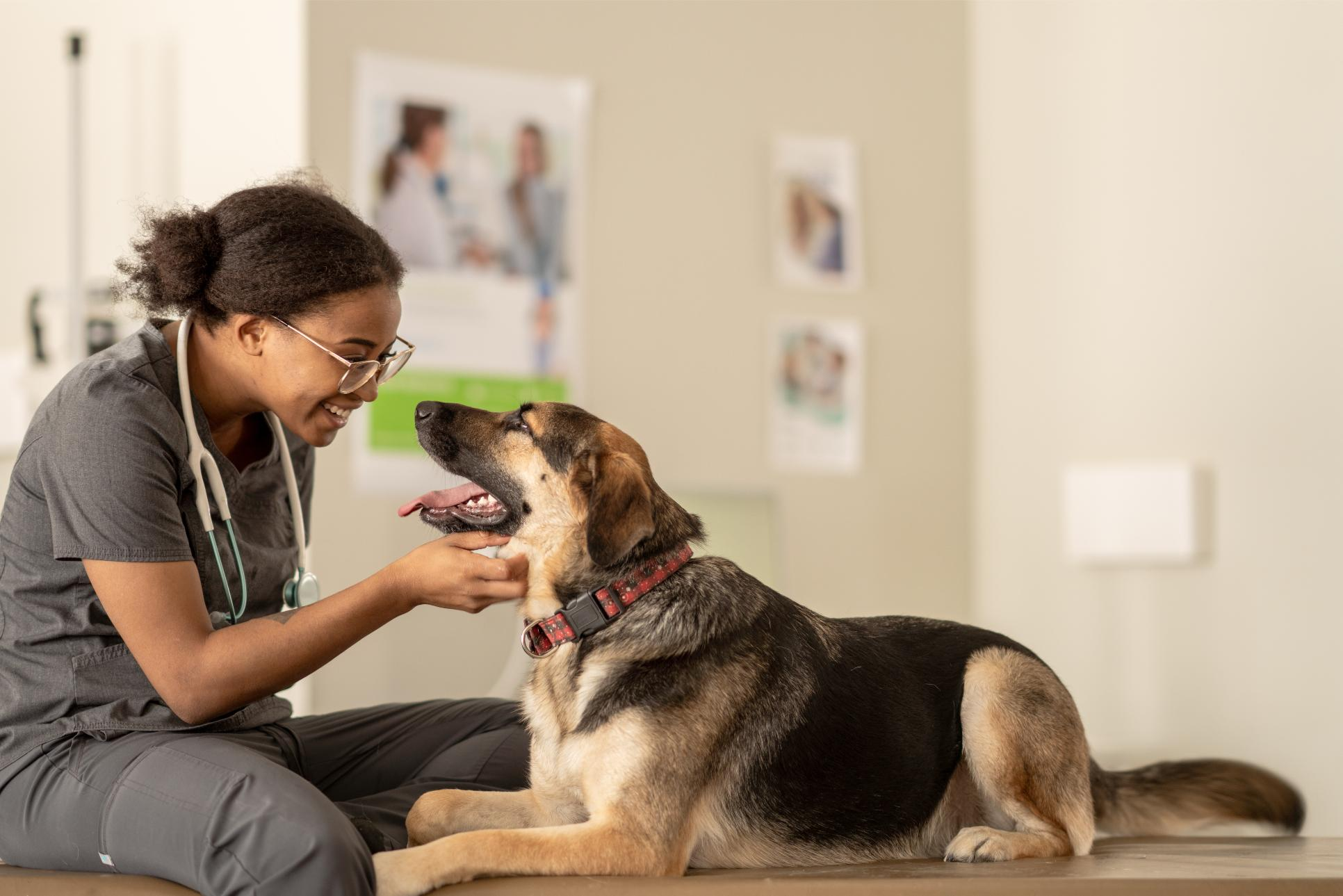 Health and wellness