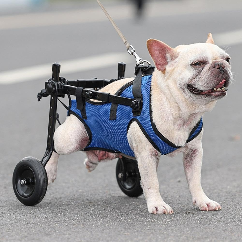 pet mobility aids