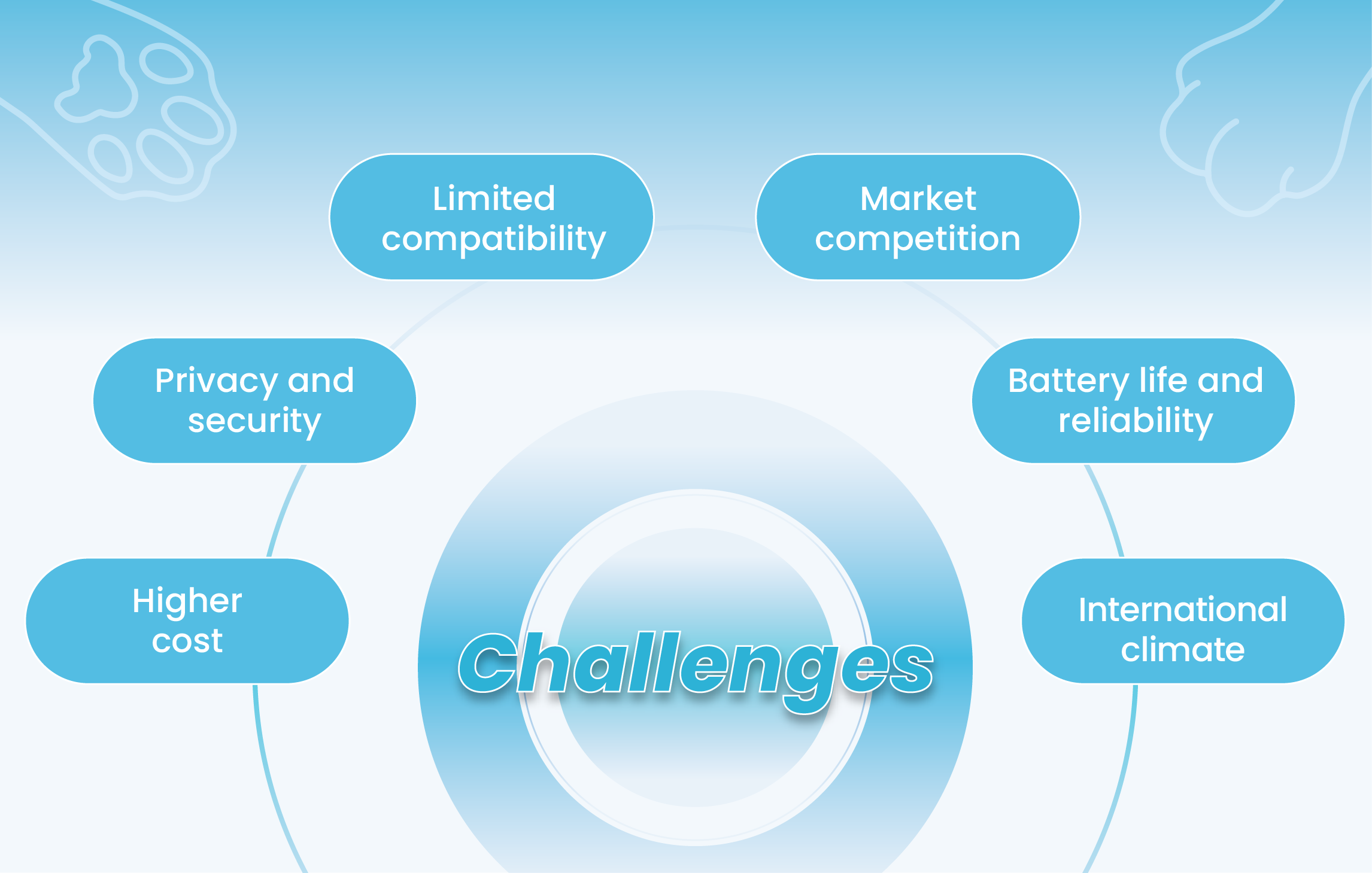 Challenges of pet tech market