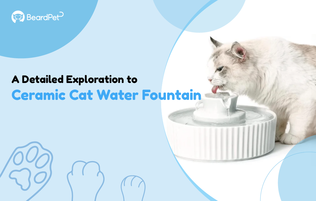 ceramic cat water fountain