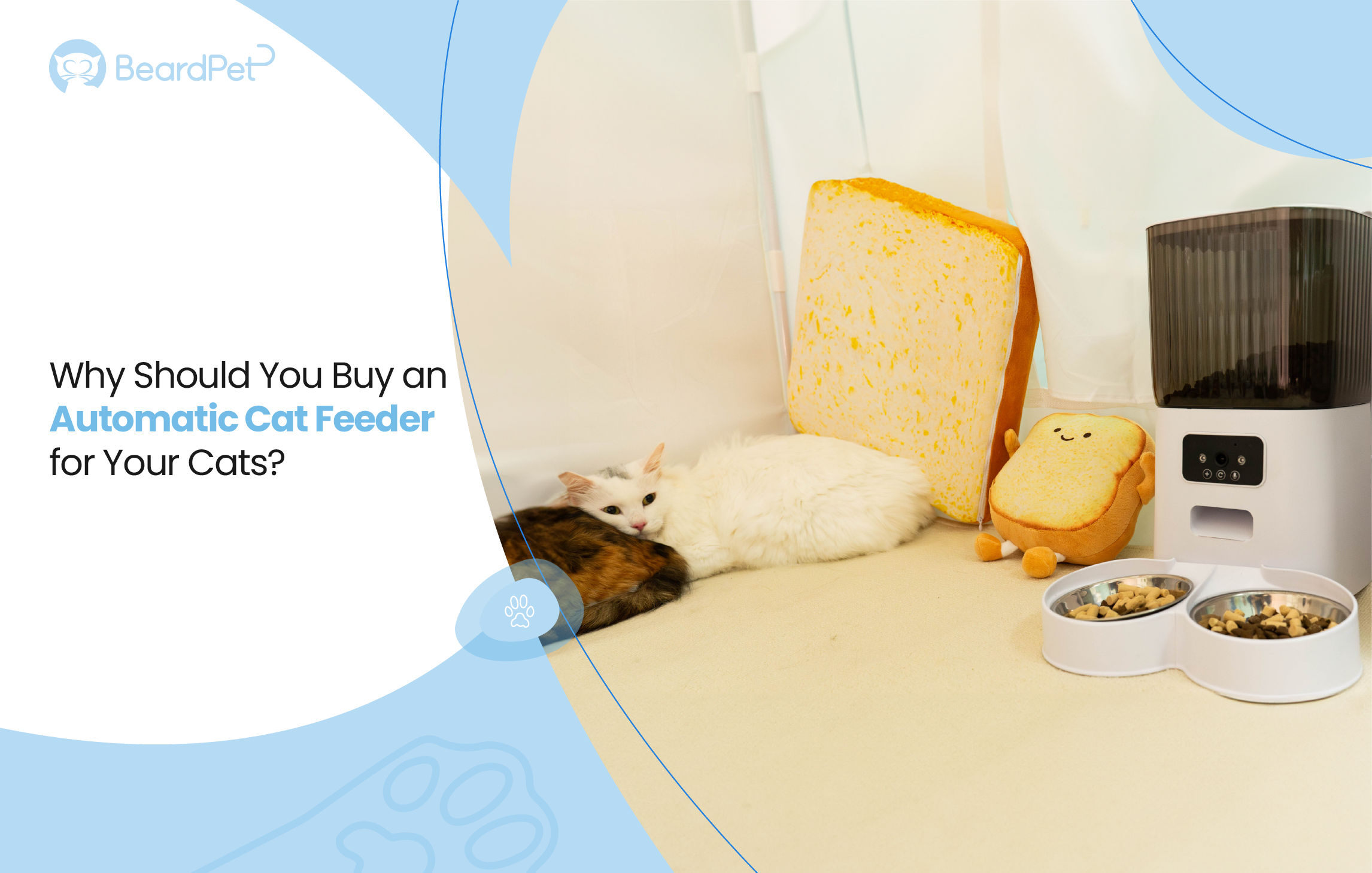 Why Should You Buy an Automatic Cat Feeder for Your Cats?