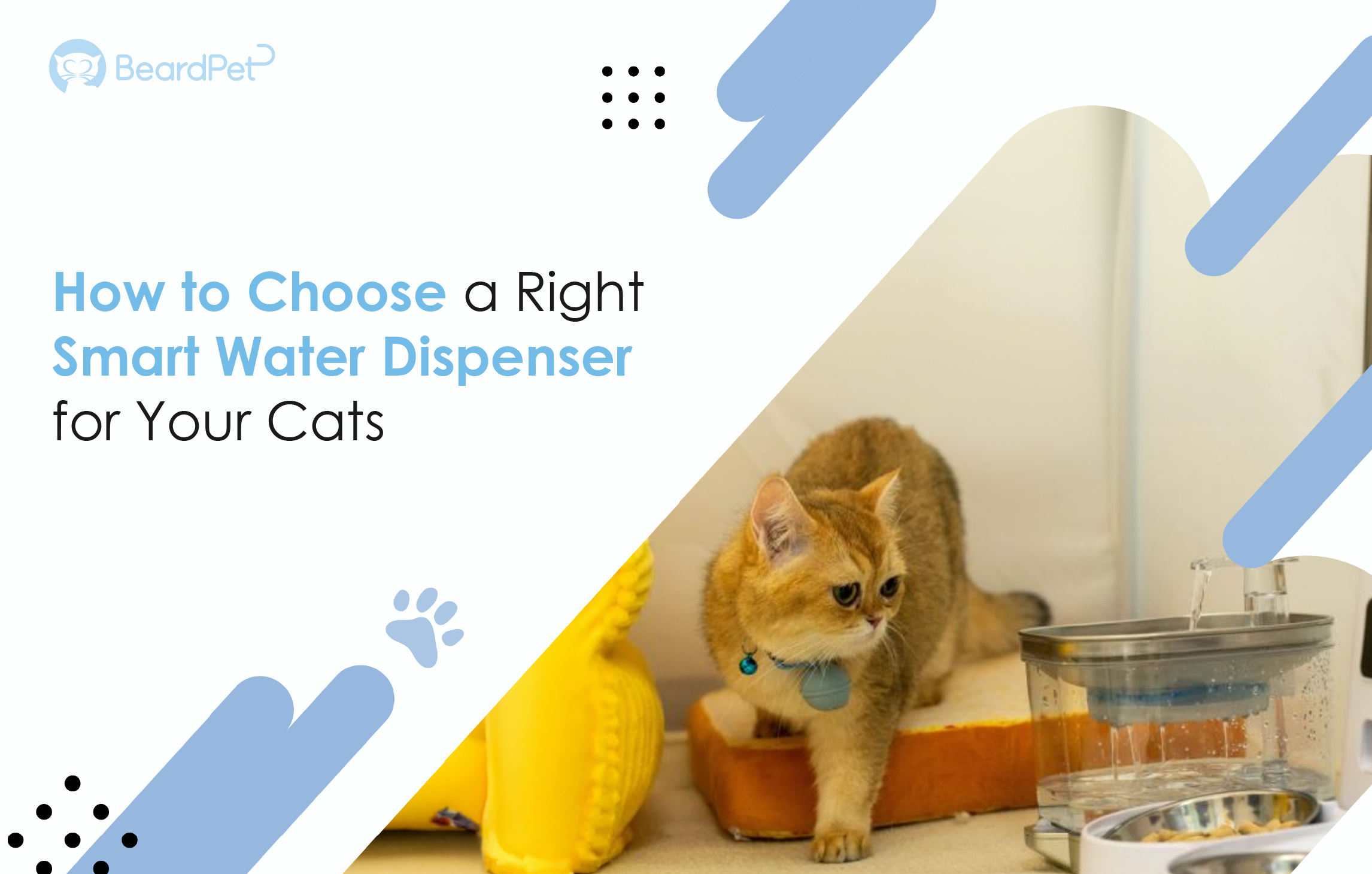 How to choose a right smart water dispenser for your cats