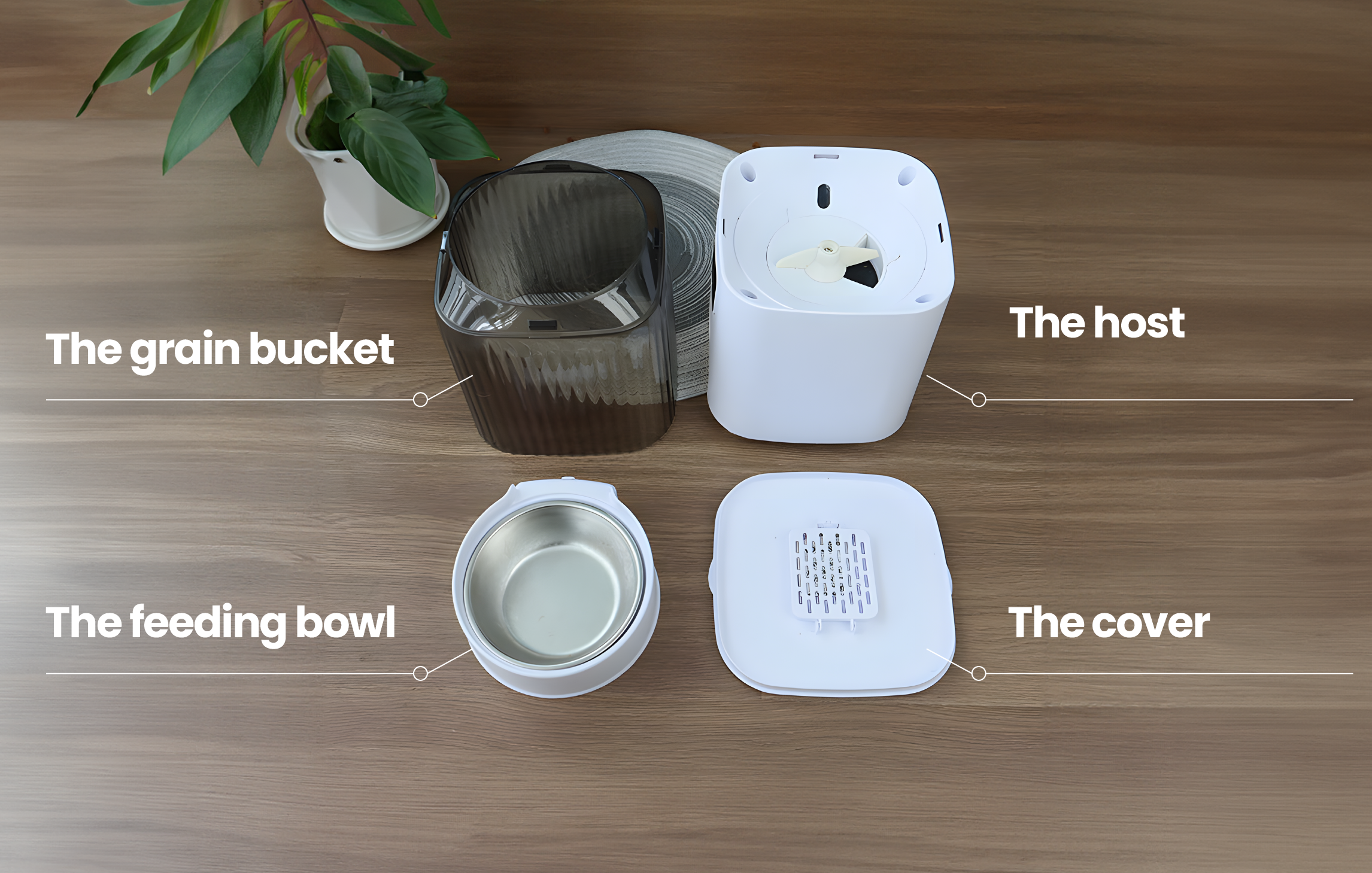 Components of Smart Pet Feeder