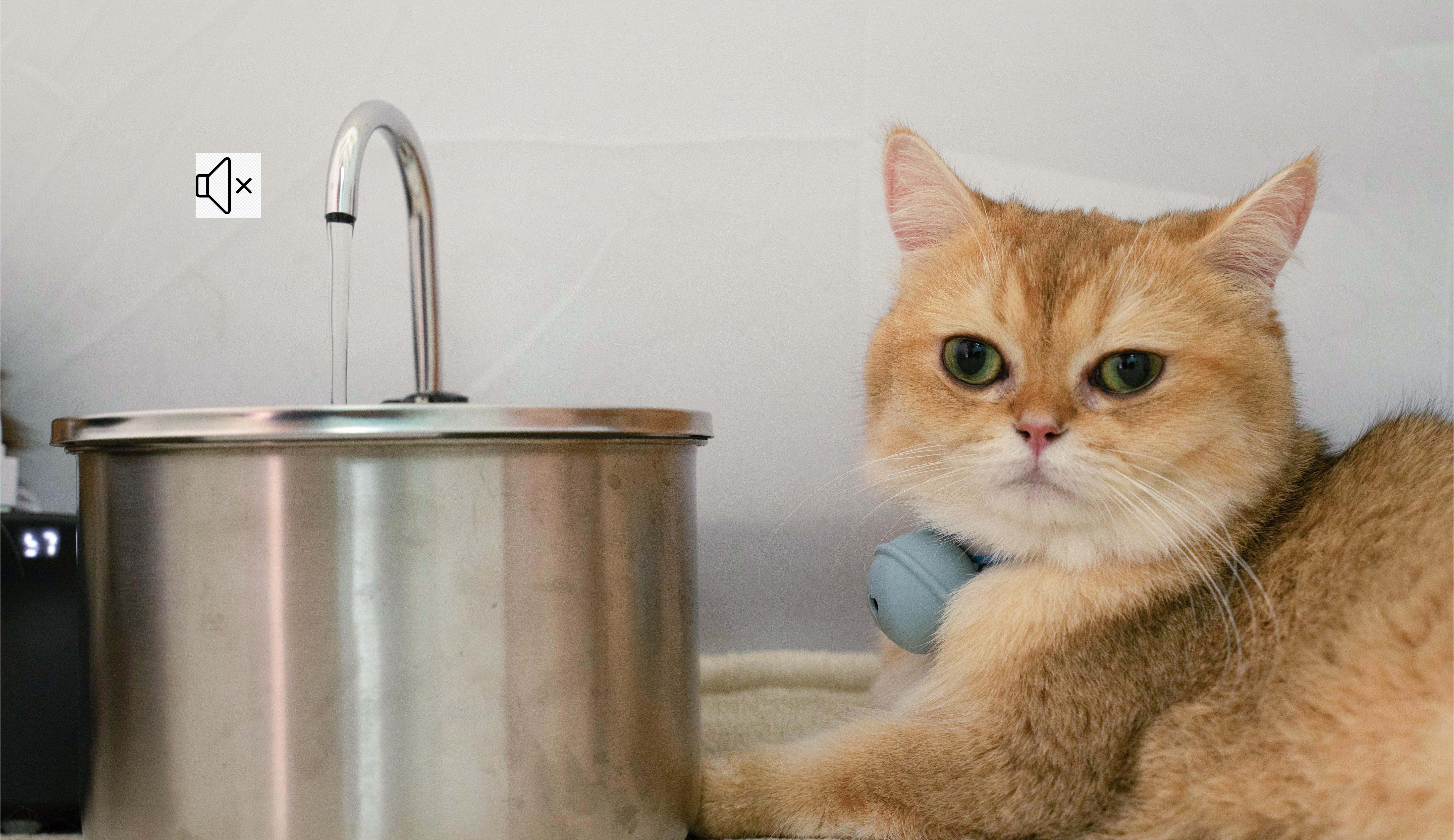 40dB silent stainless steel cat water fountain