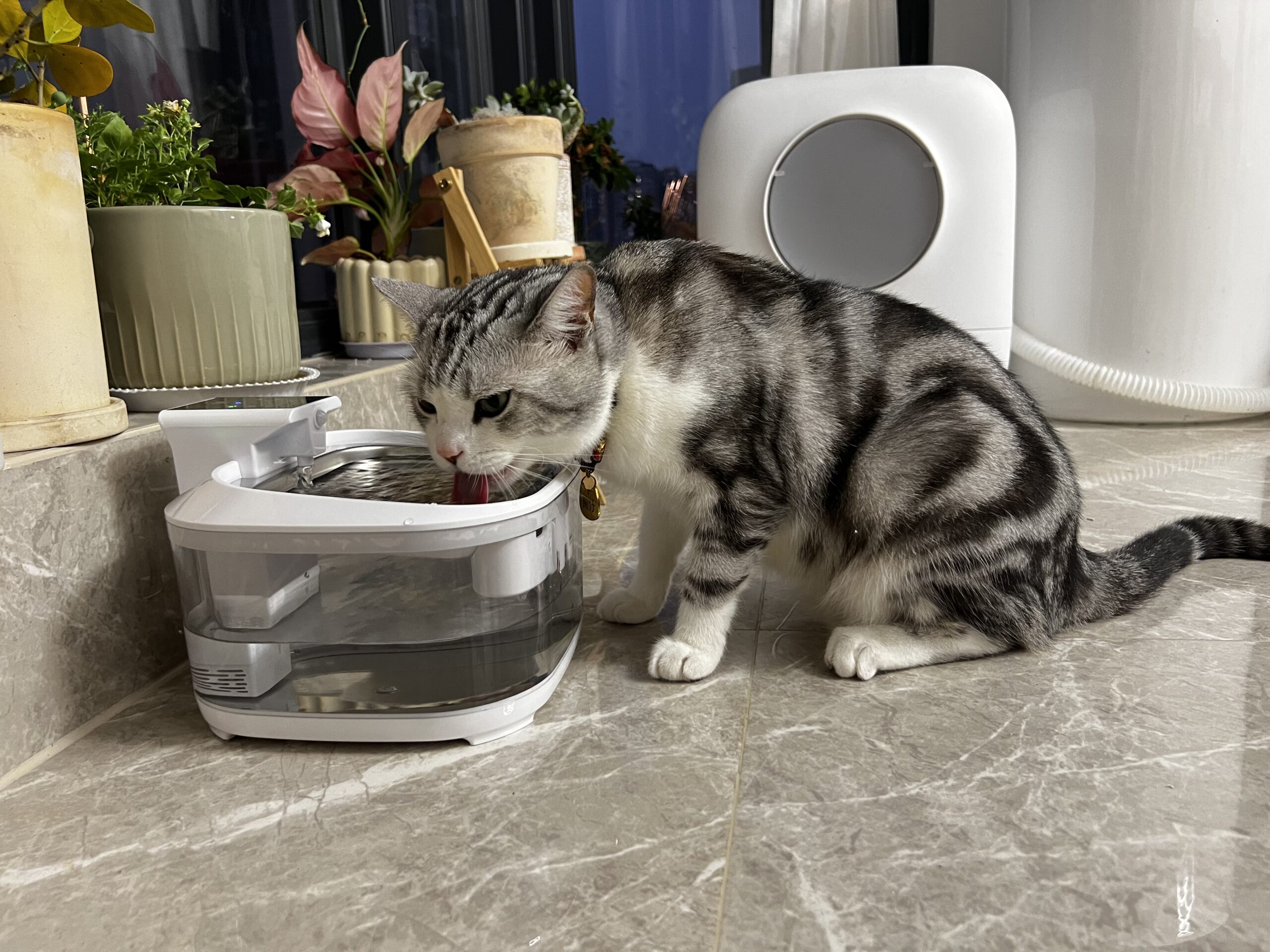 Beardpet’s 4.5L Wireless Cat Water Fountain With LED Light FT-01
