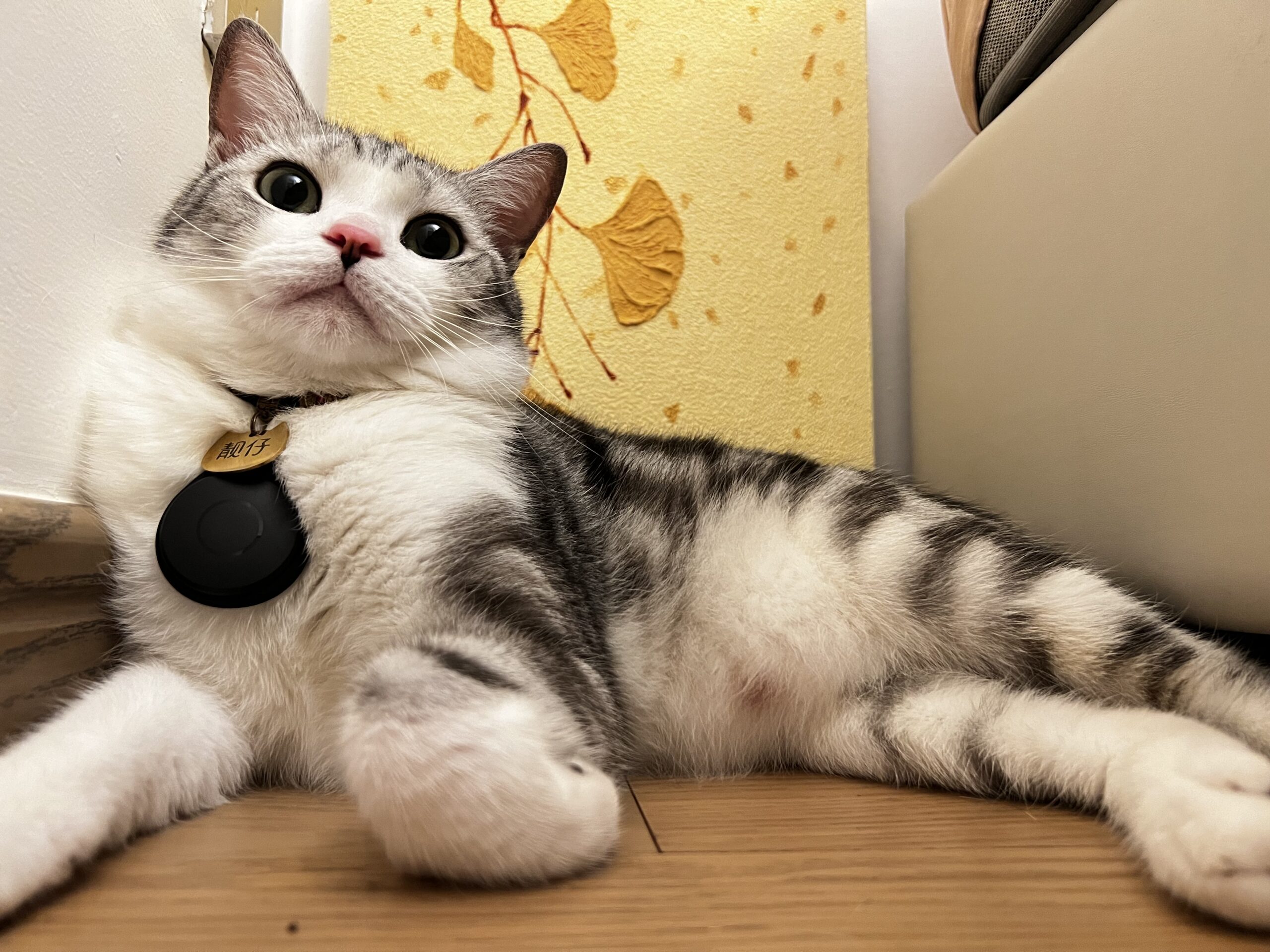 Handsome