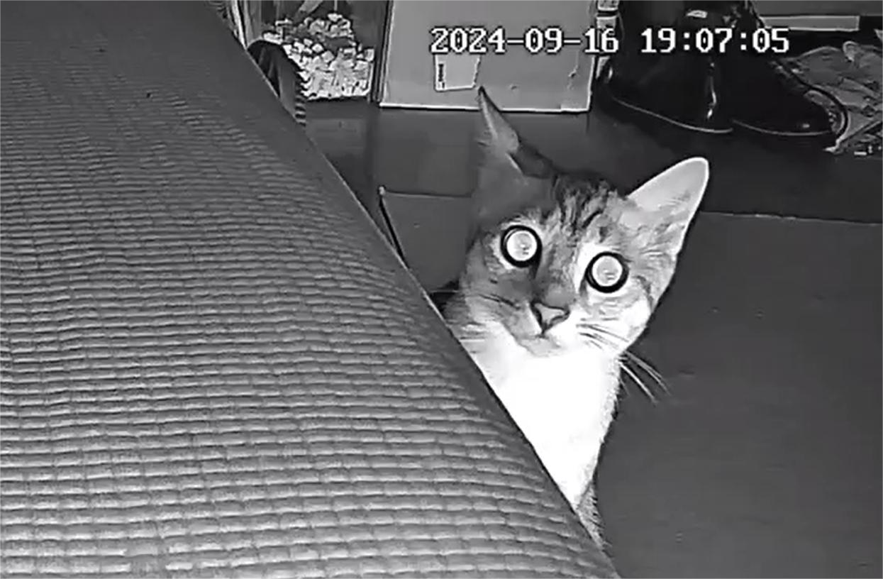Ok was staring at the camera