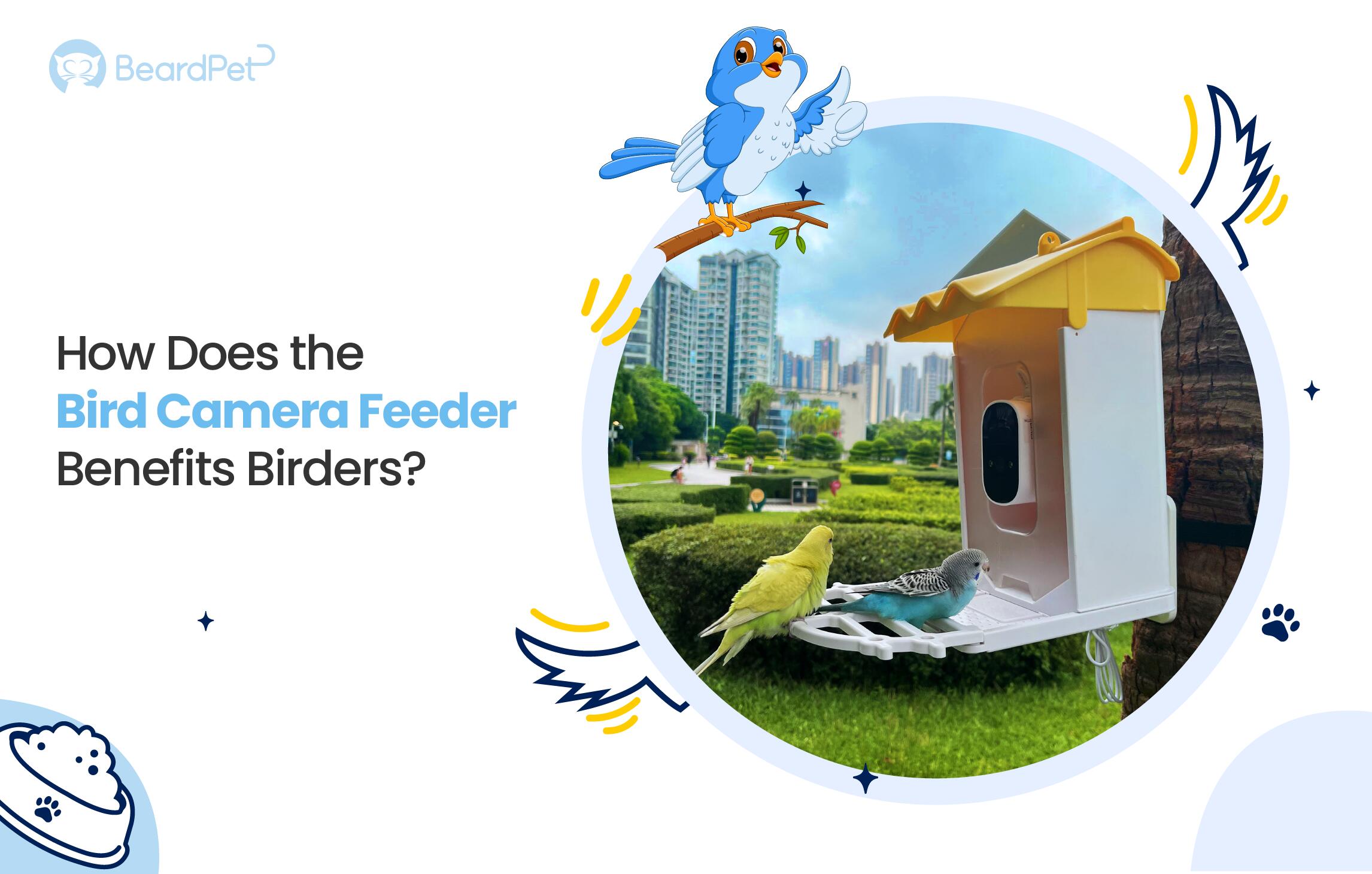 How Does the Bird Camera Feeder Benefits Birders?