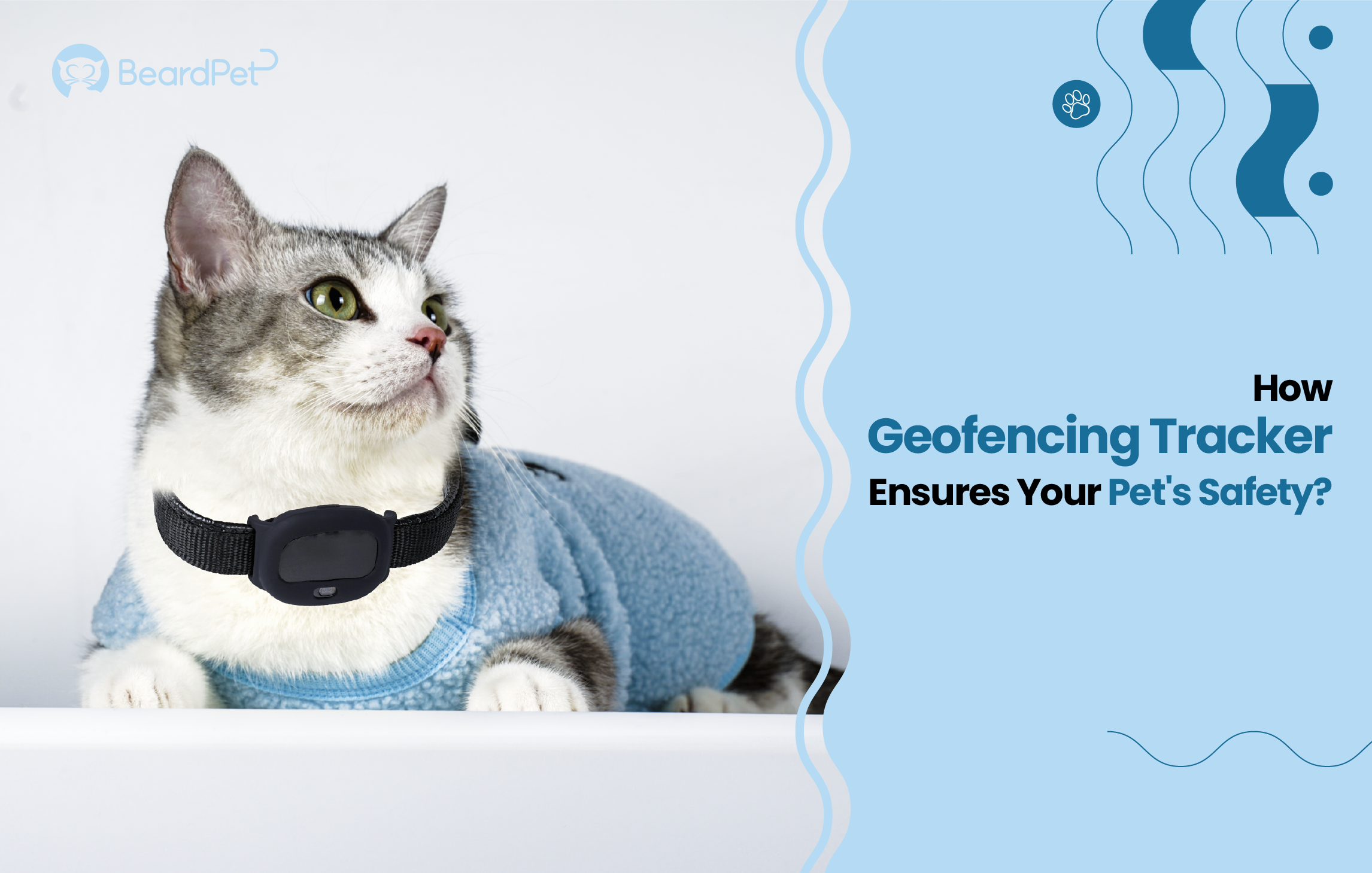 How Geofencing Tracker Ensures Your Pet’s Safety?