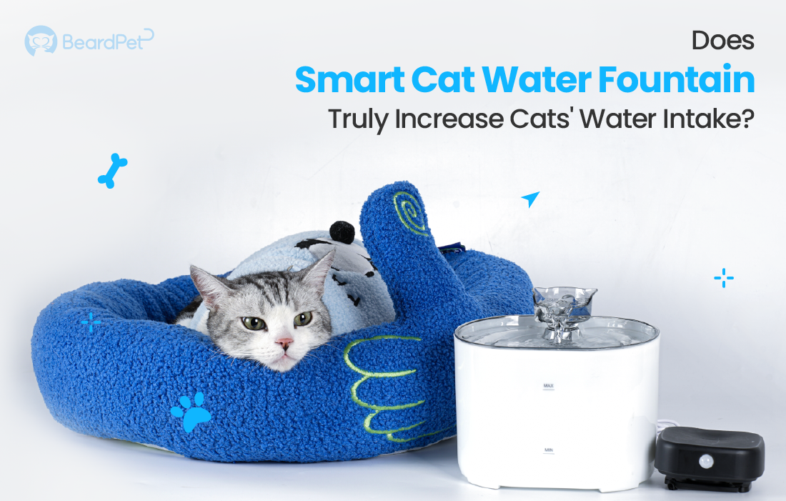 Does Smart Cat Water Fountain Truly Increase Cats' Water Intake?