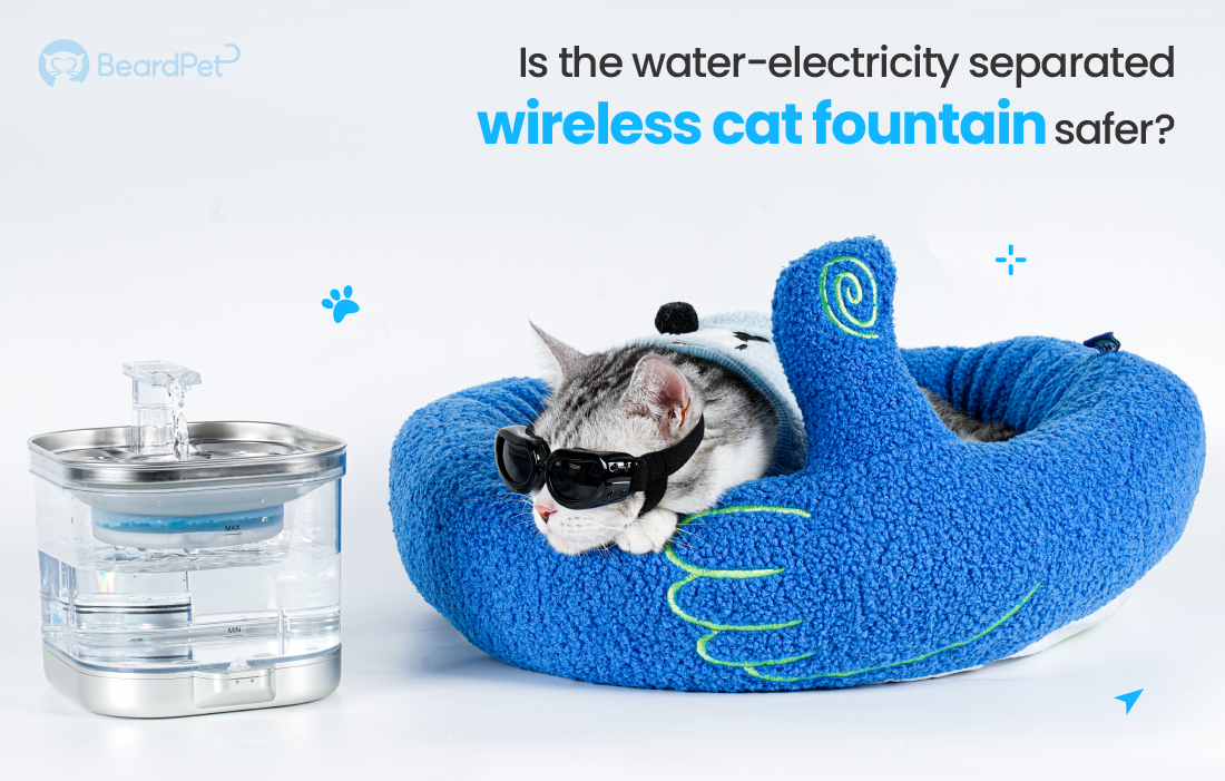 Is the Water-electricity Separate Wireless Cat Fountain Safer?