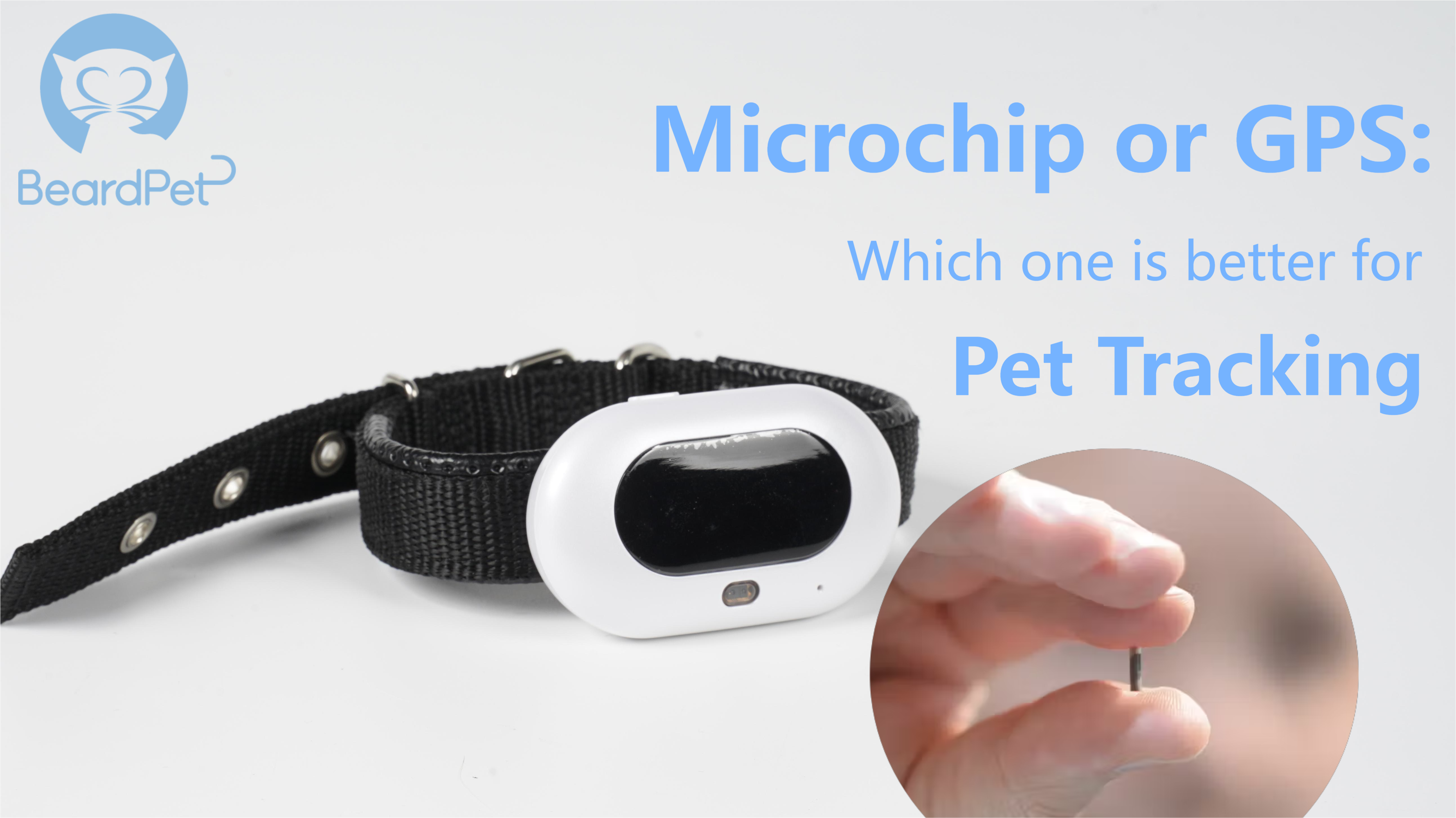 Microchip or GPS: Which One is Better for Pet Tracking?