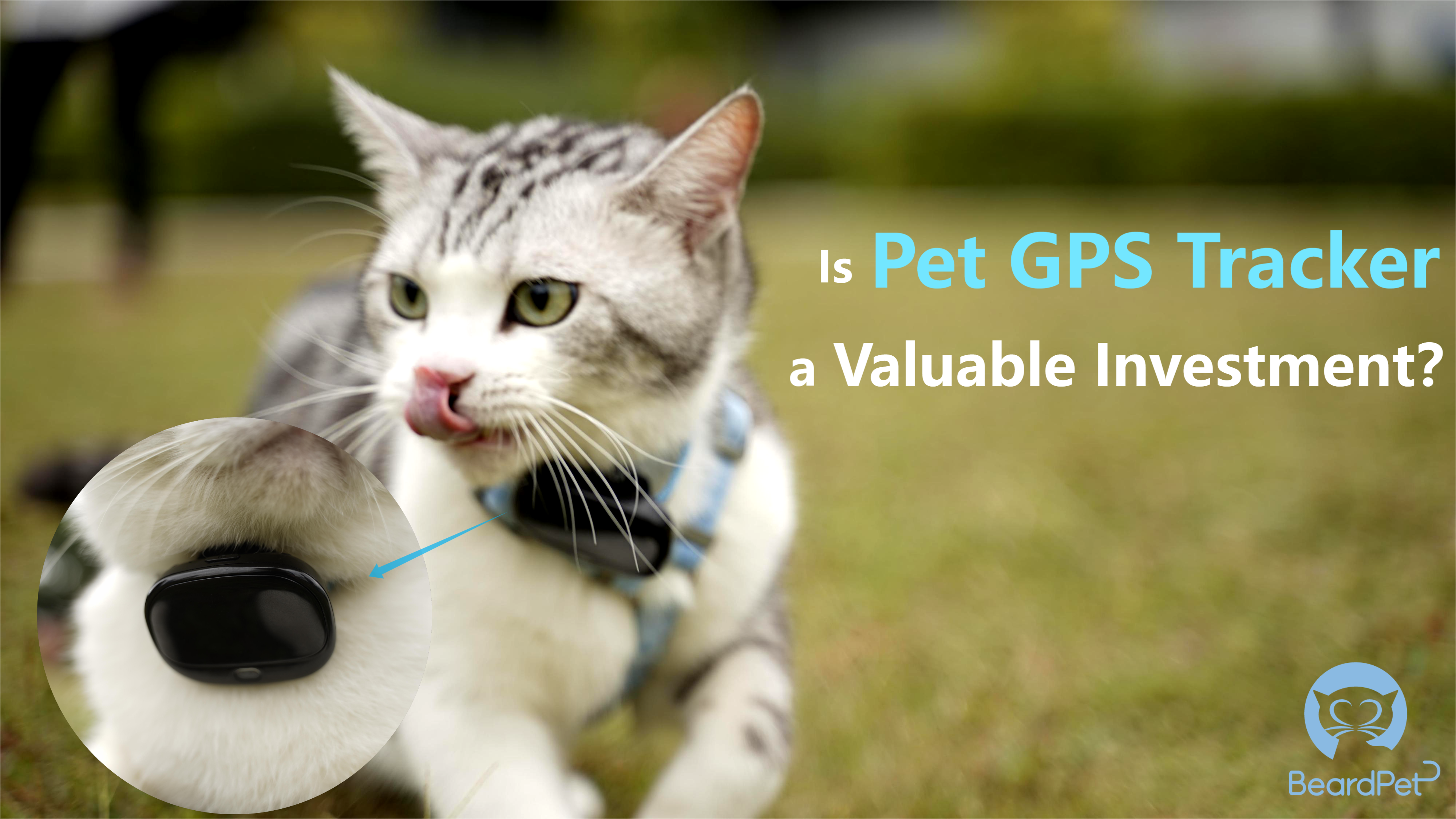 Is Pet GPS Tracker a Valuable Investment?
