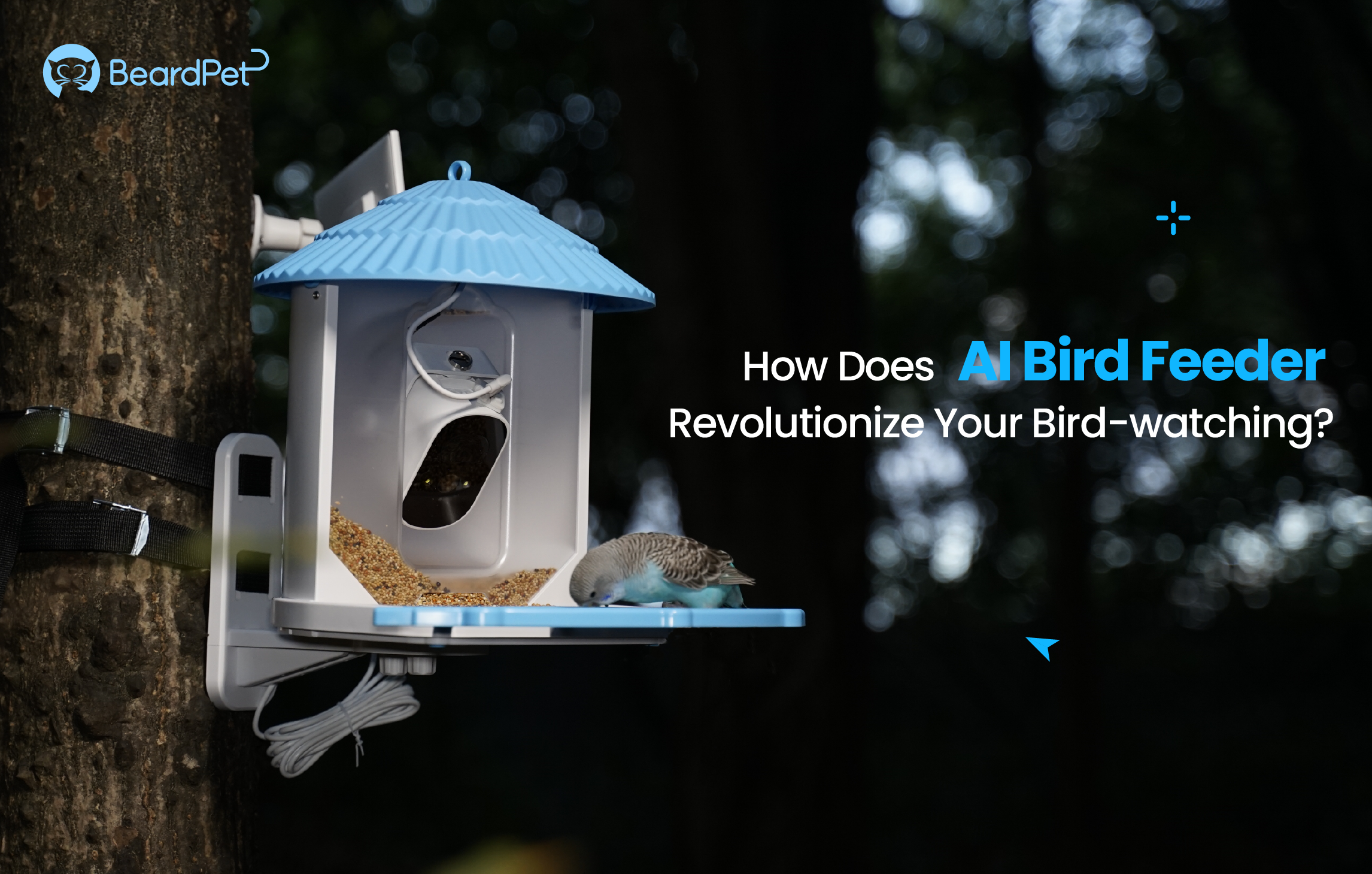 How Does AI Bird Feeder Revolutionize Your Bird-watching?