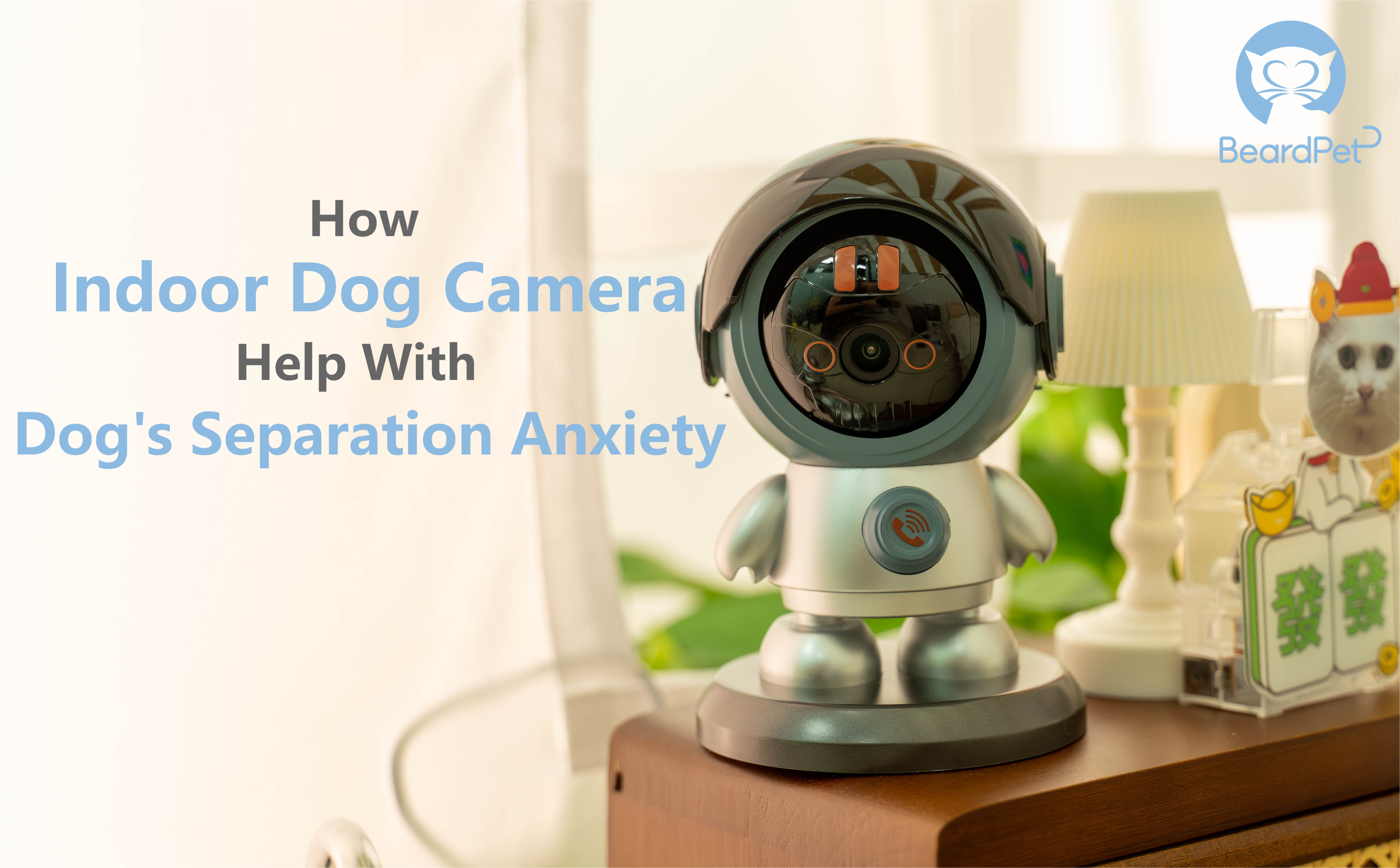 How Indoor Dog Camera Helps With Dogs' Separation Anxiety?