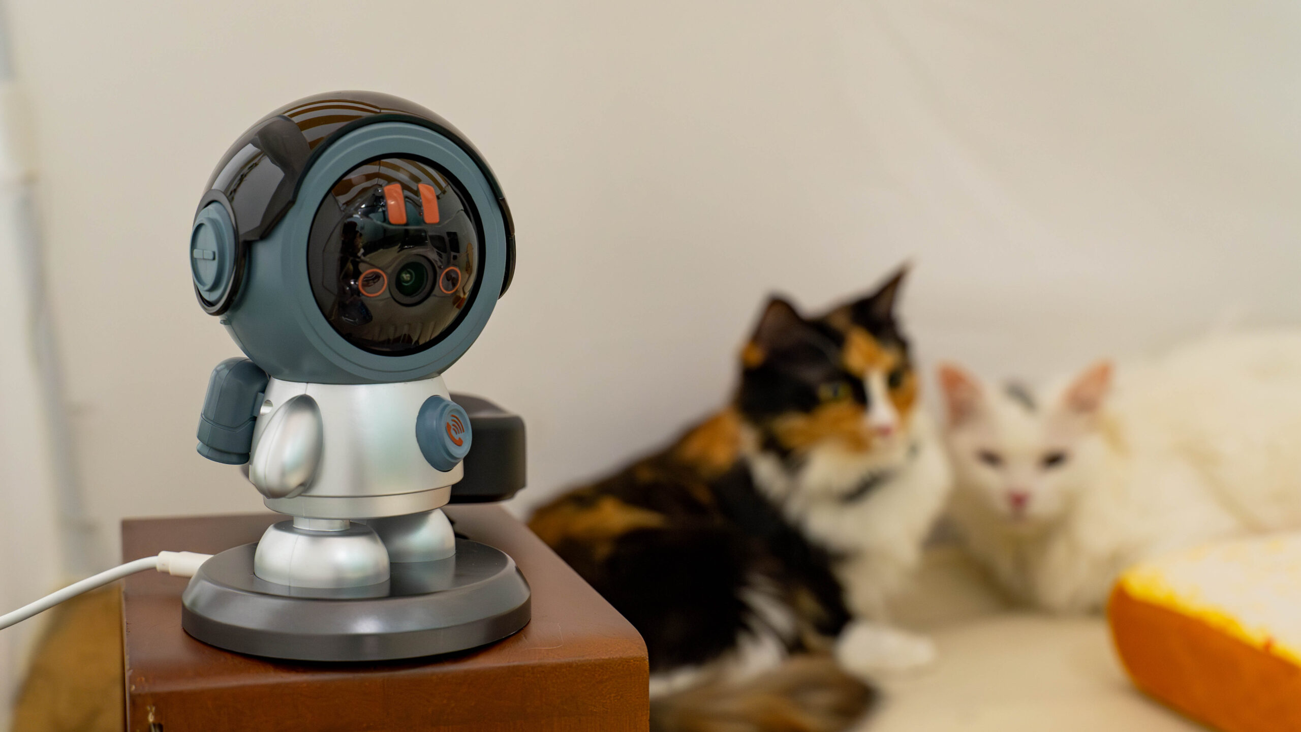 indoor pet camera