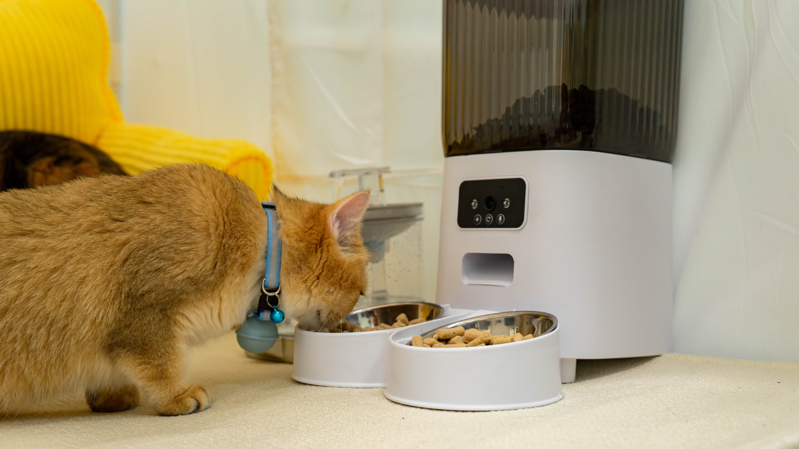 Beautiful view of Smart Feeder System For Hamsters