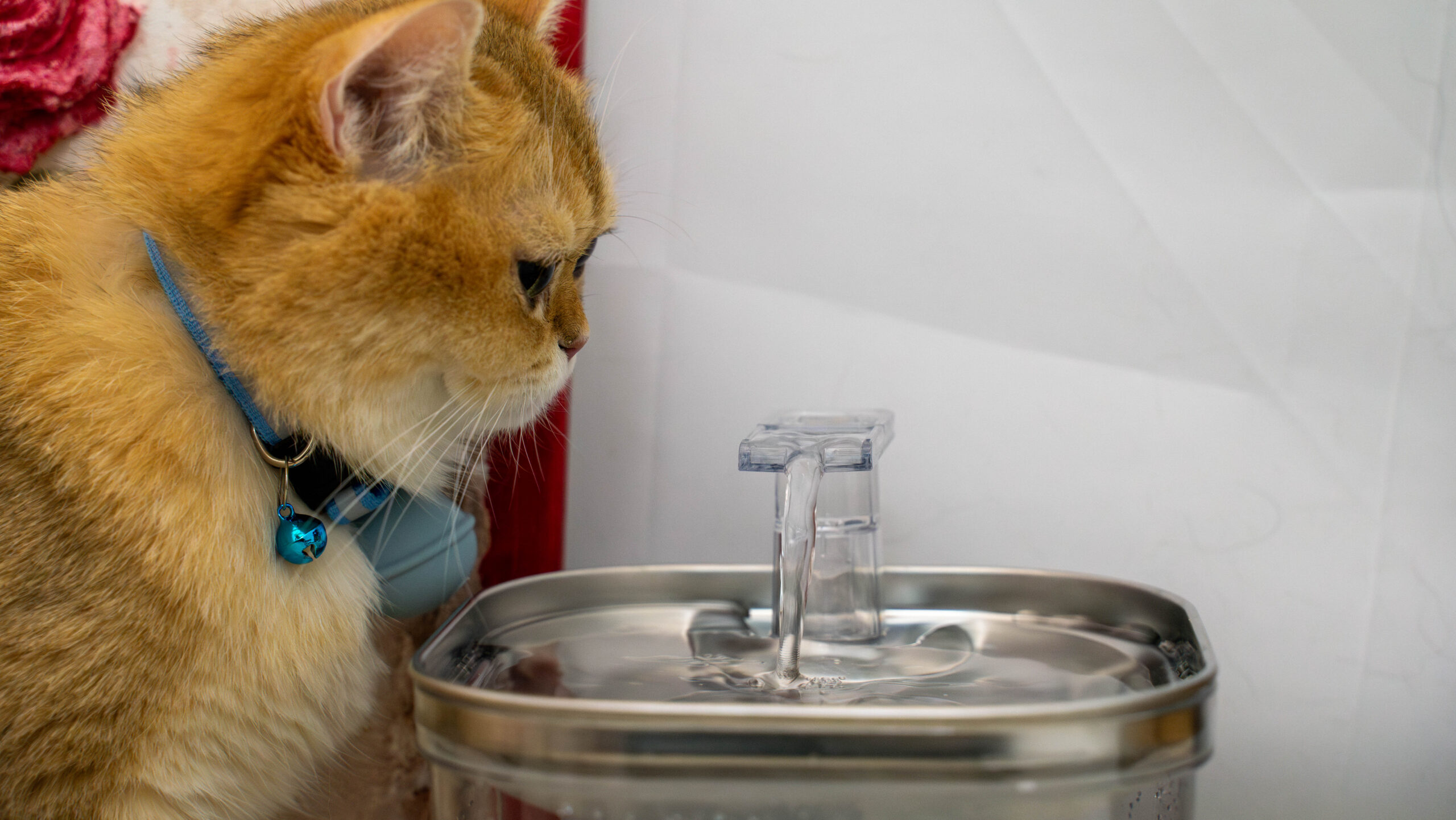 The FT-05's 2-liter water tank