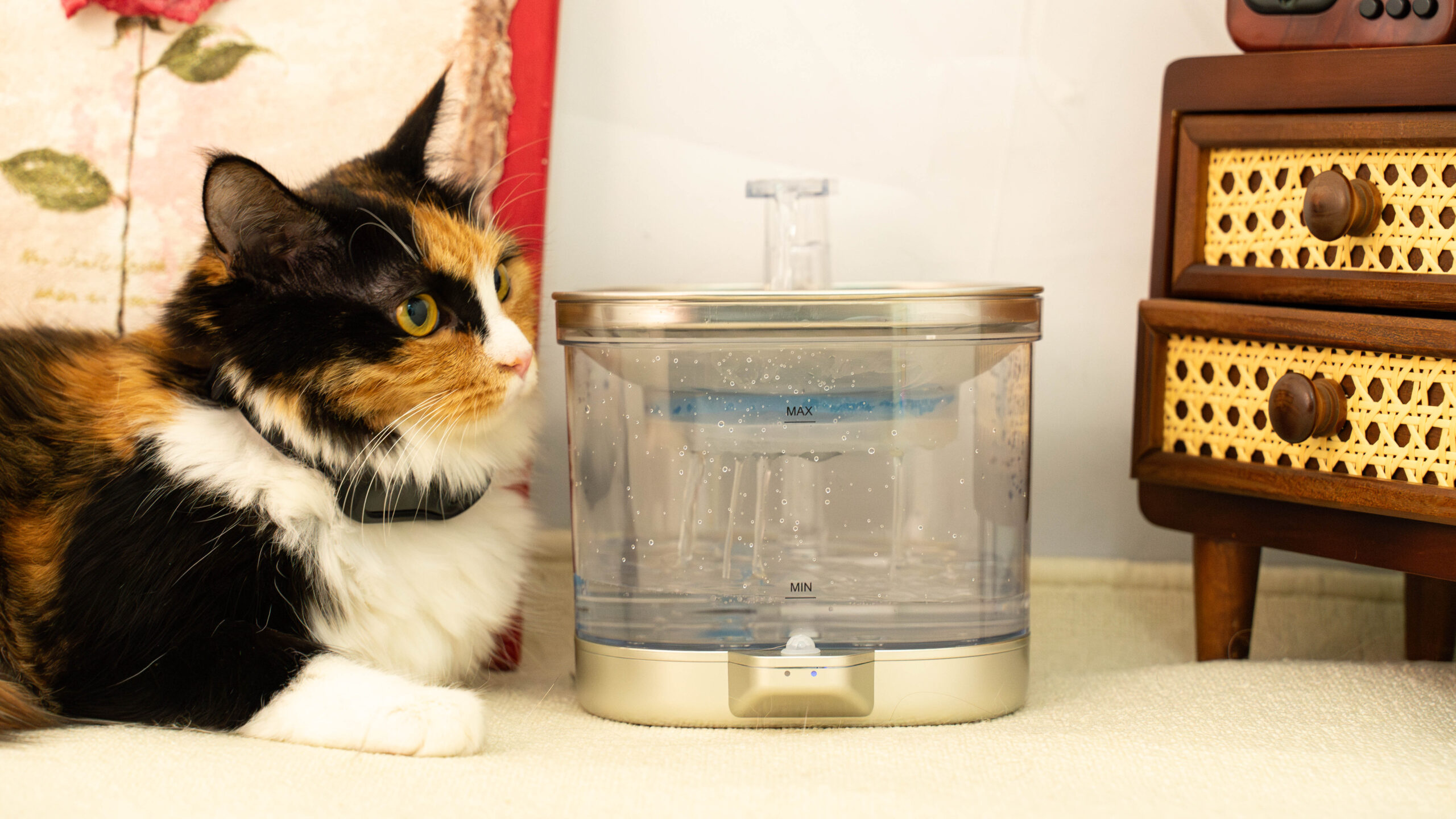 wireless cat fountain