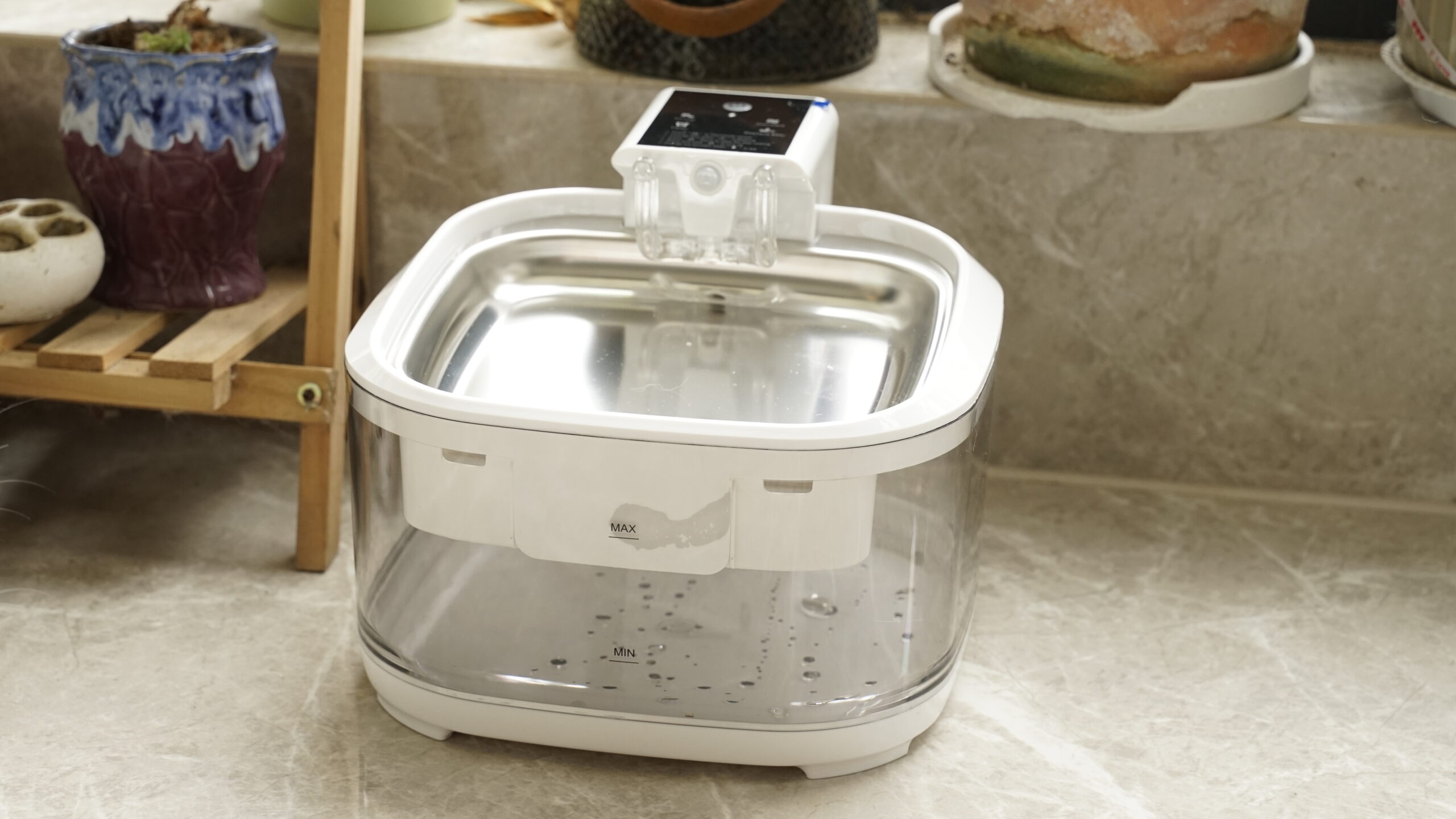 cat fountain with elegant design