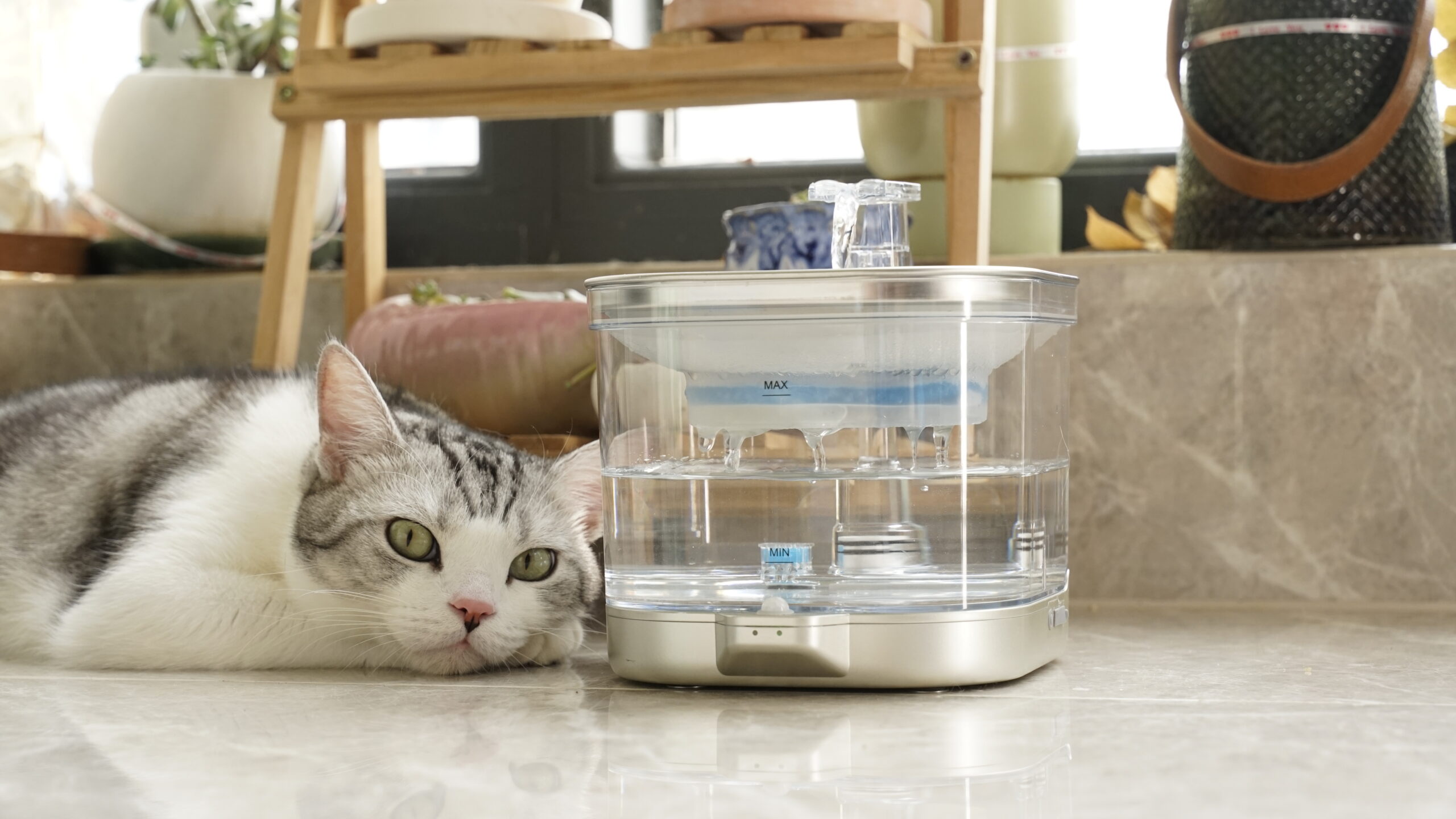 Beardpet's cat water feeder FT-05