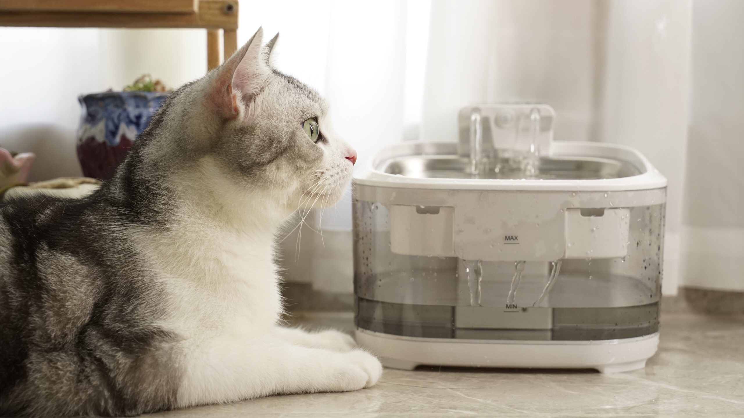 BeardPet's 4.5L Wireless Cat Water Fountain With LED Light FT-01.