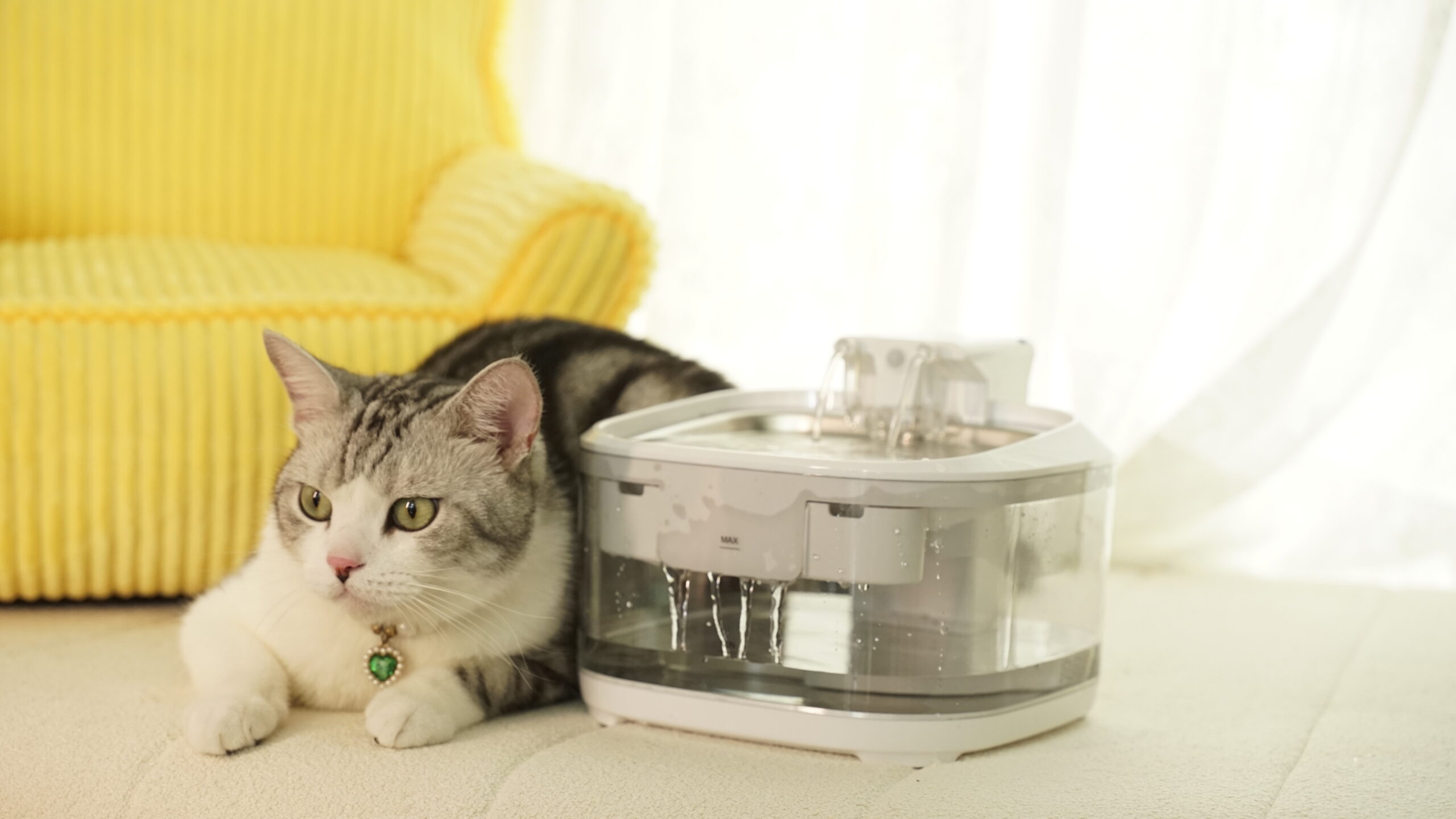 FT-01 Wireless Cat Water Fountain
