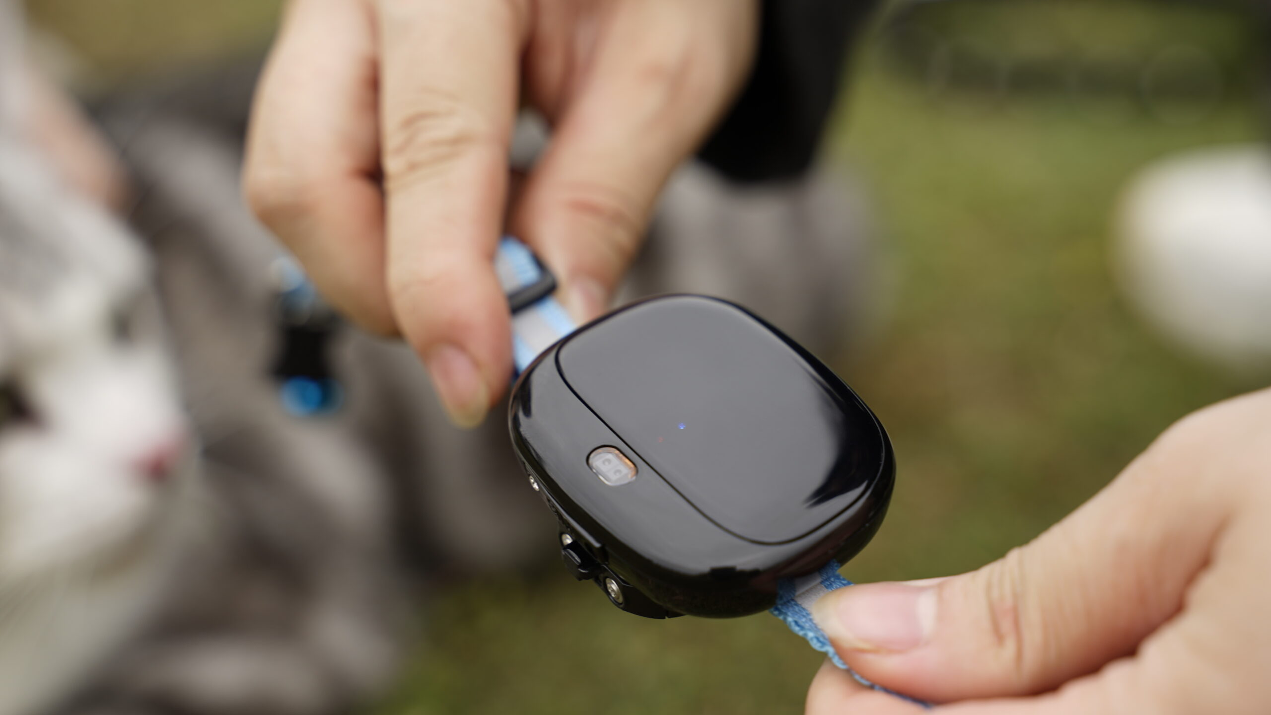 size of the tracker is imprtant for pet's comfort