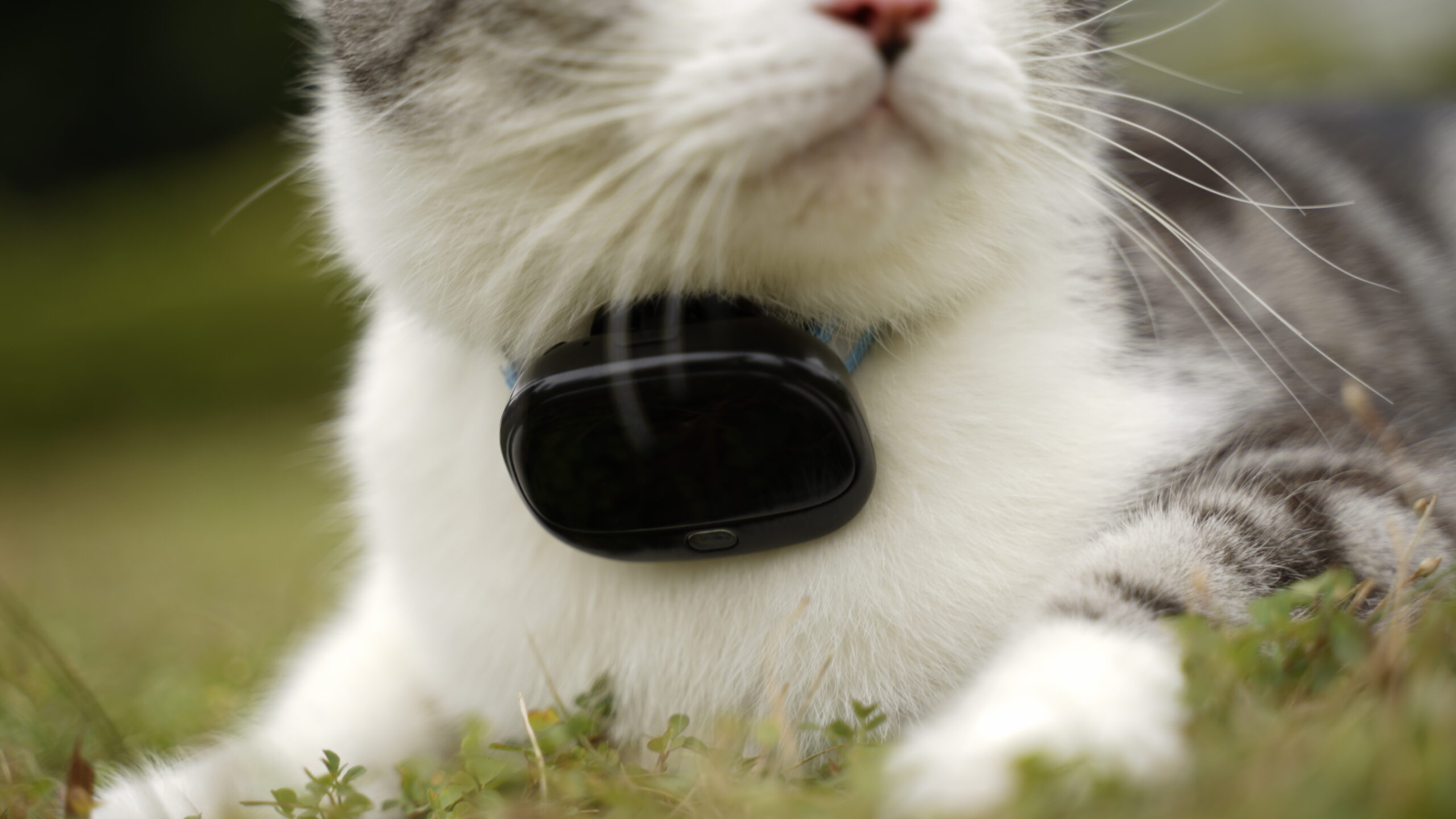 The V43 supports activity monitoring 