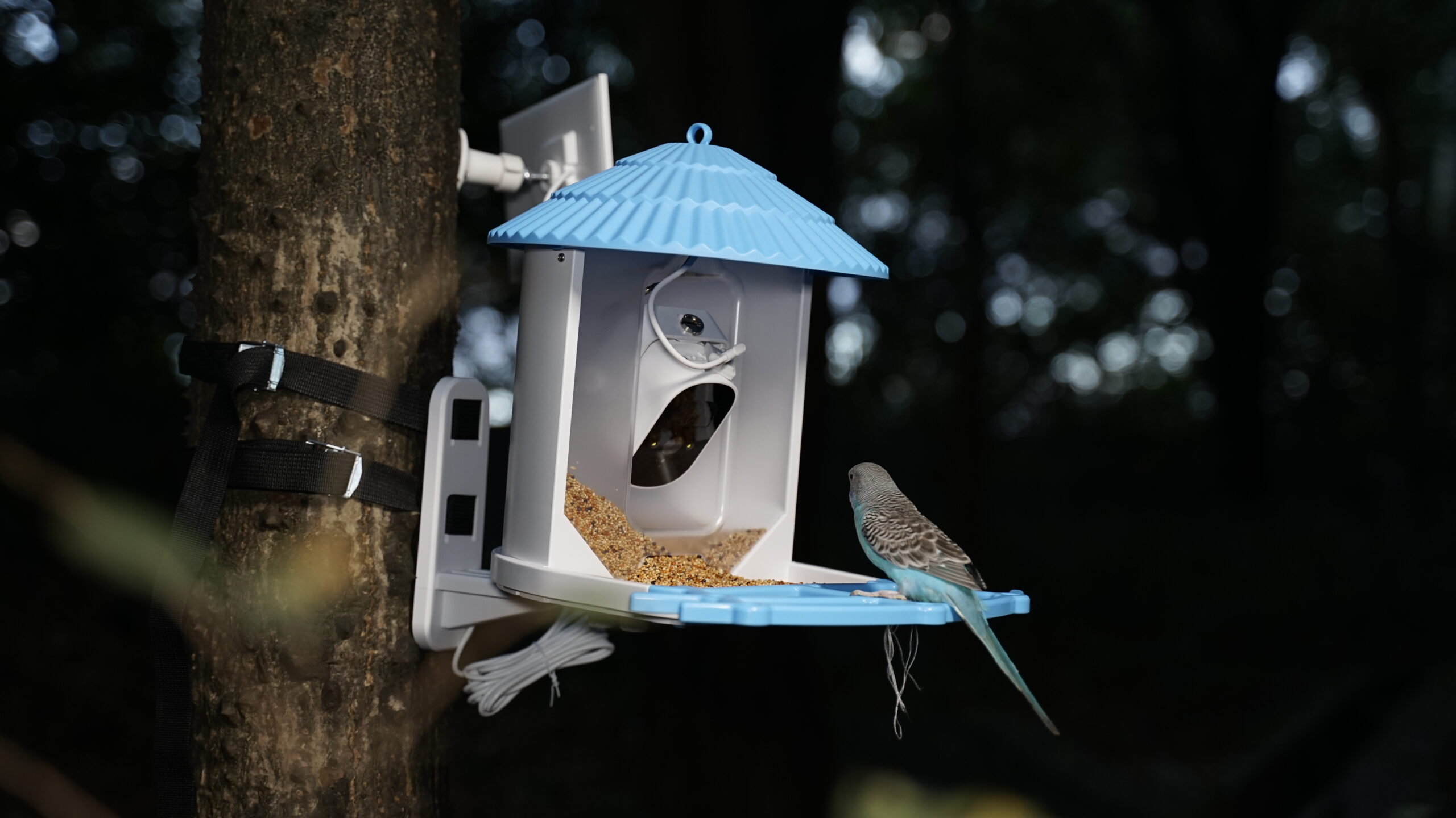 Beardpet Smart Bird Feeder BF-01