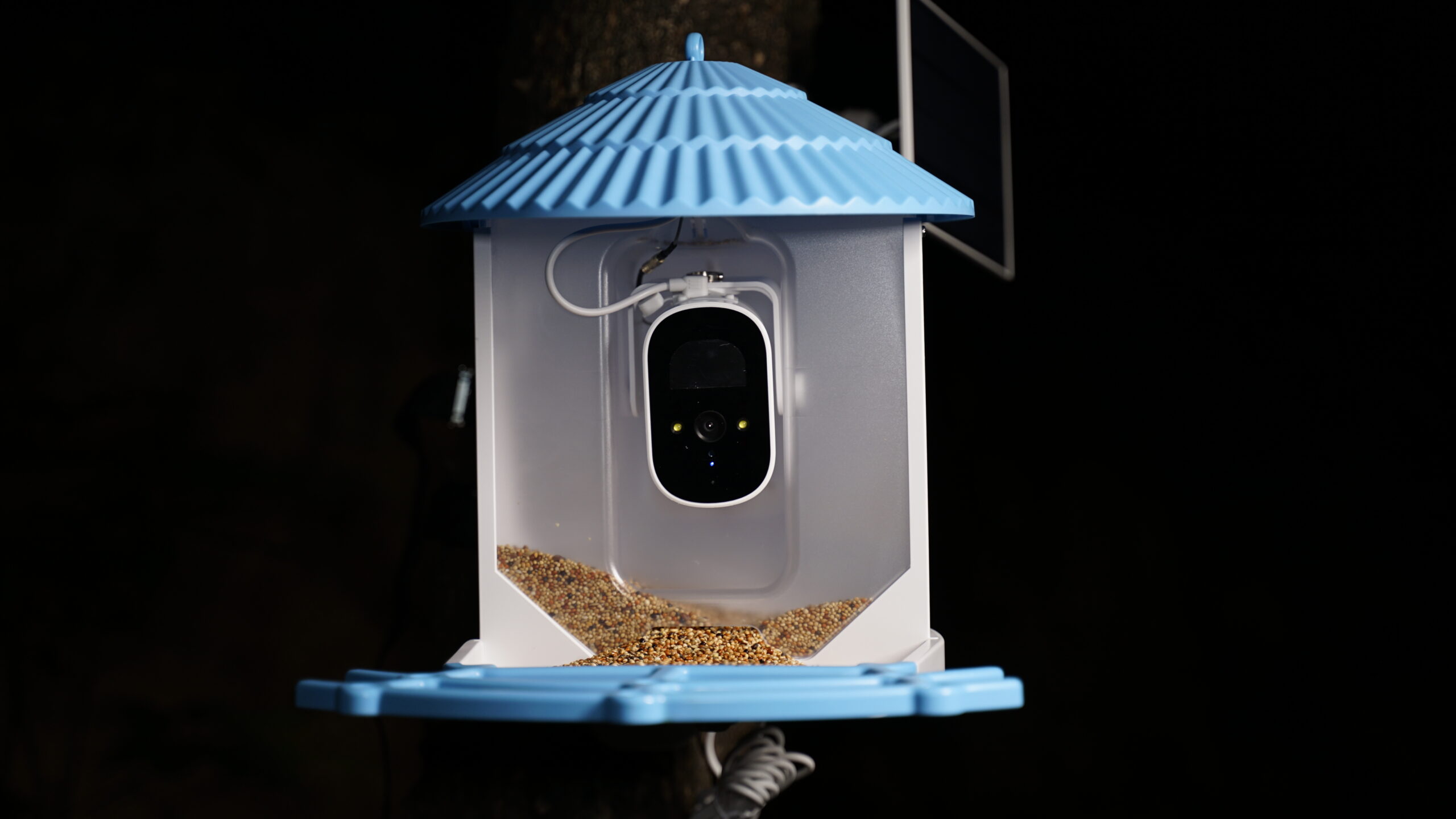 smart bird feeder with food