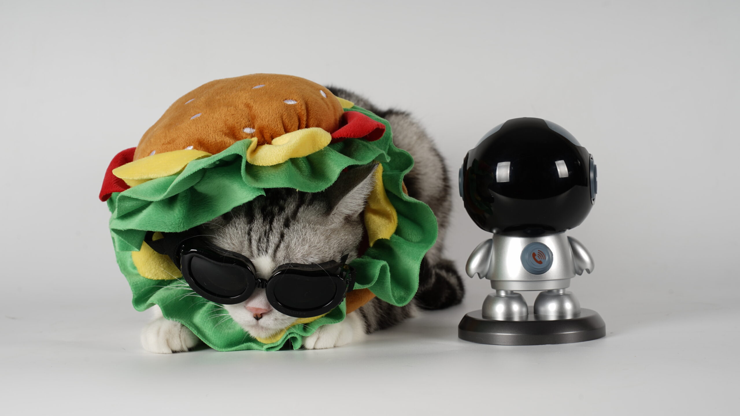 indoor pet camera with a 360-degree rotable and Clear camera