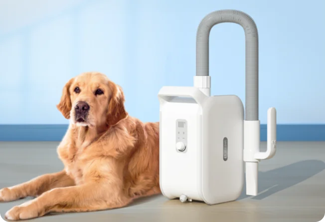 dog hair dryer
