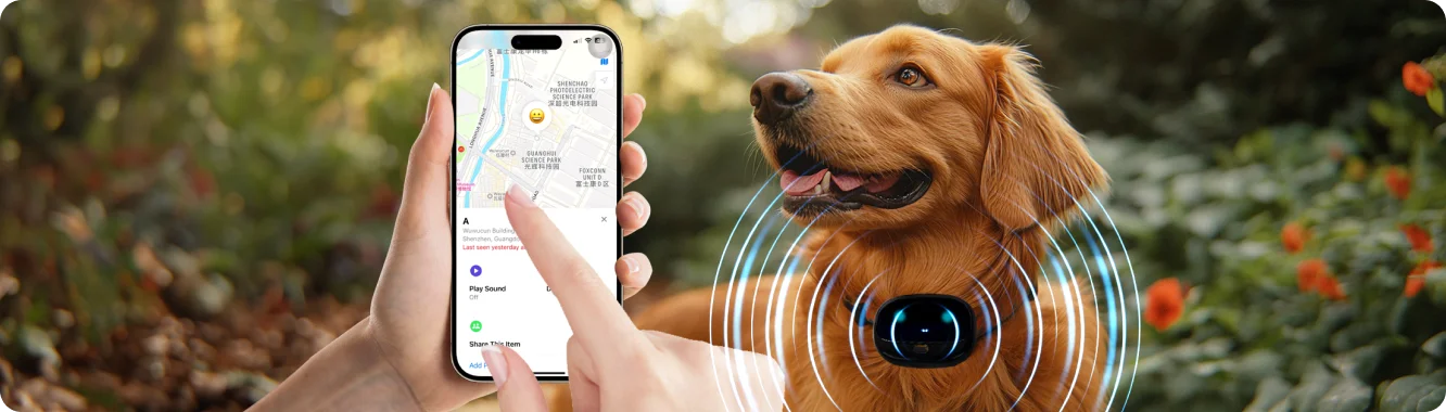 dog tracking collar navigate the pet in one click
