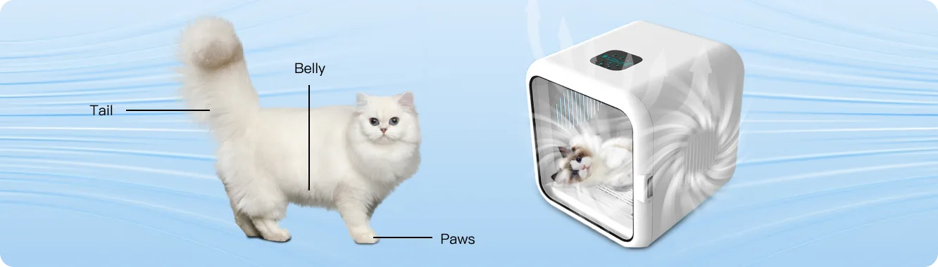 fully ventilated pet dryer box