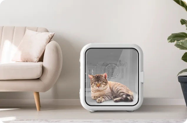 pet dryer box in bed mode