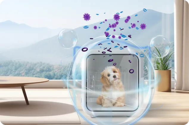 pet dryer box in sterilization mode