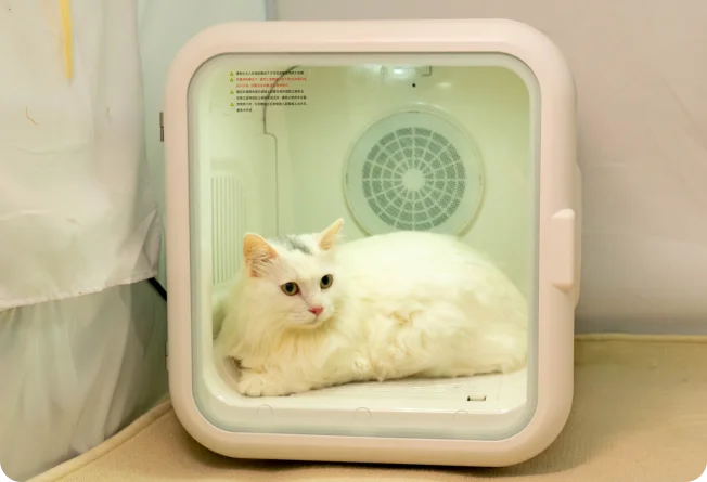 pet dryer box
