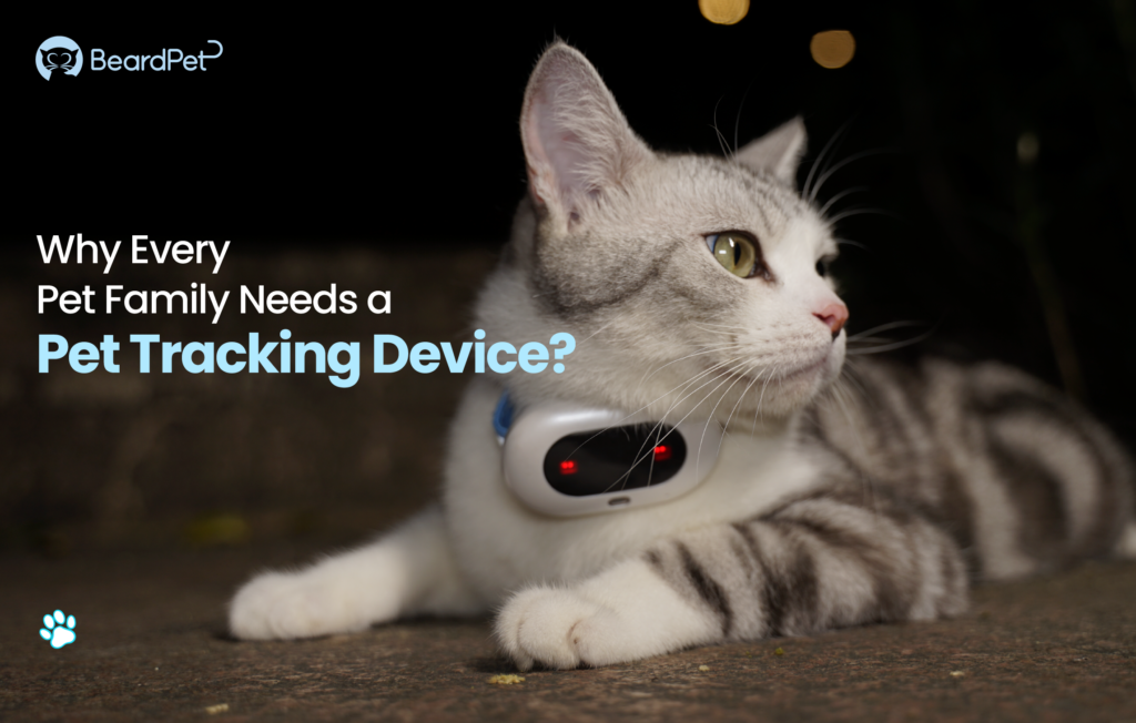 Image showcasing Why Every Pet Family Needs a Pet Tracking Device? - ODM&OEM Smart Pet ...