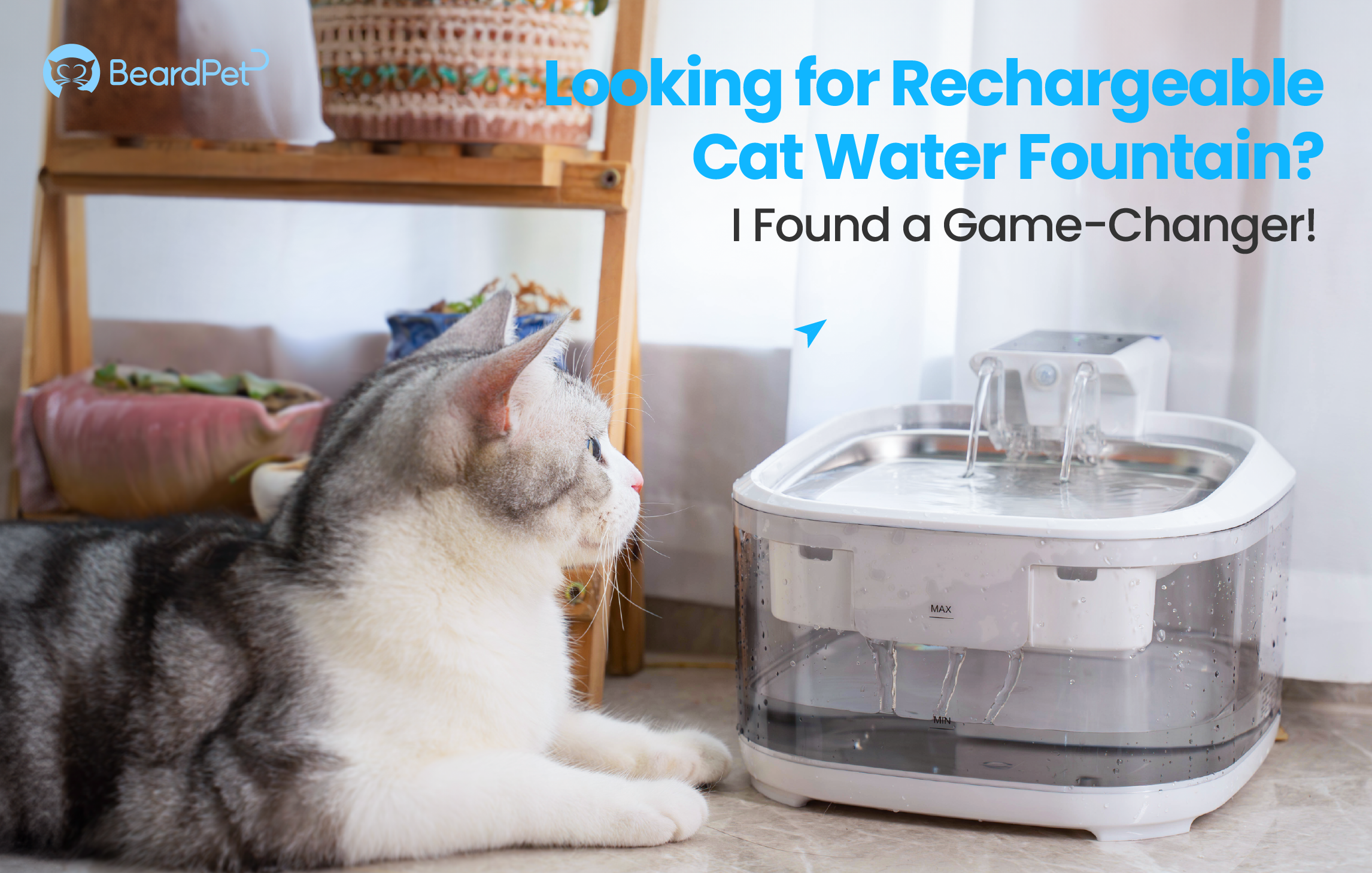 Looking for Rechargeable Cat Water Fountain? I Found a Game-Changer!