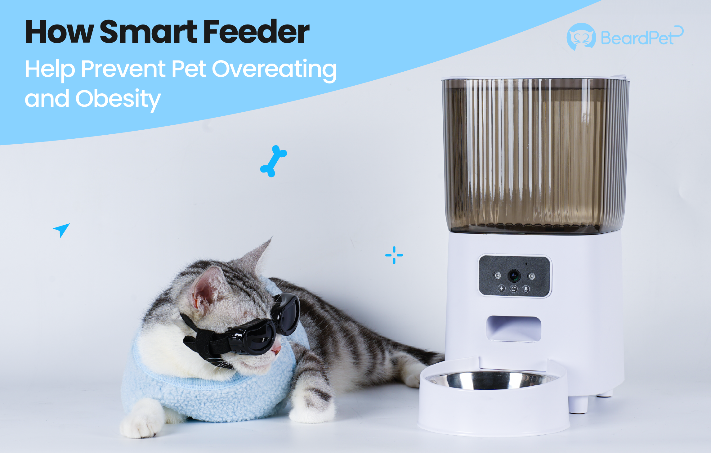 How the Smart Feeder Help Prevent Pet Overeating and Obesity