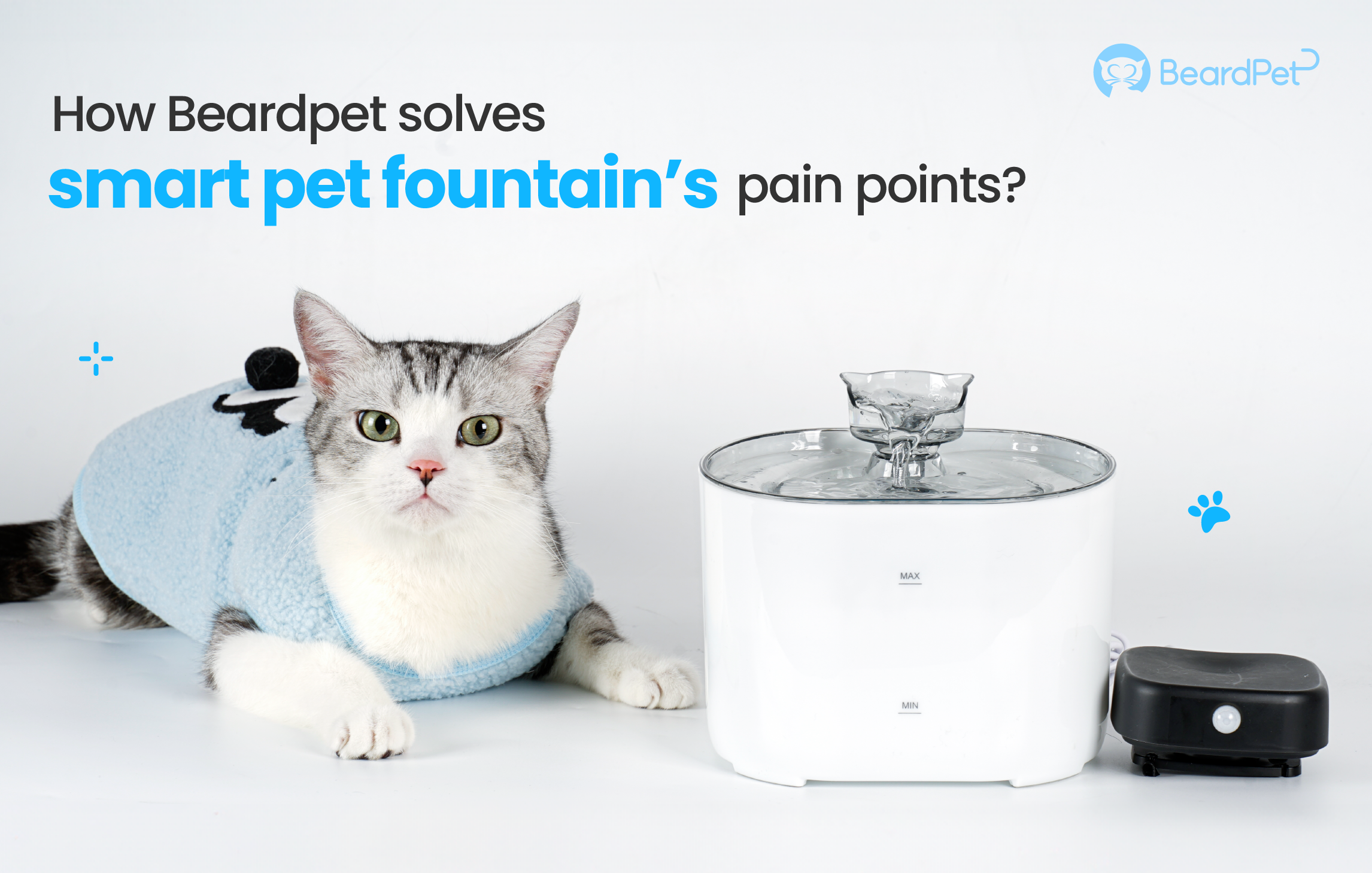 How Beardpet Solves Smart Pet Fountain Pain Points?