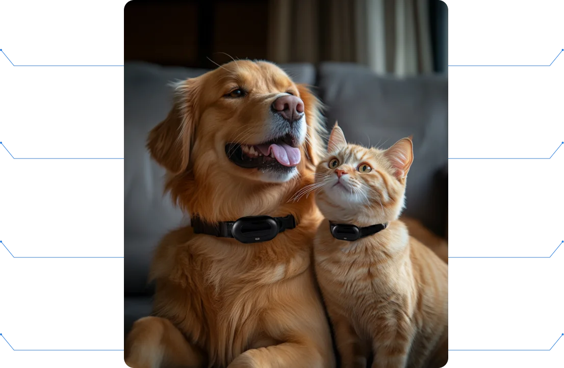what my pet says about pet tracker