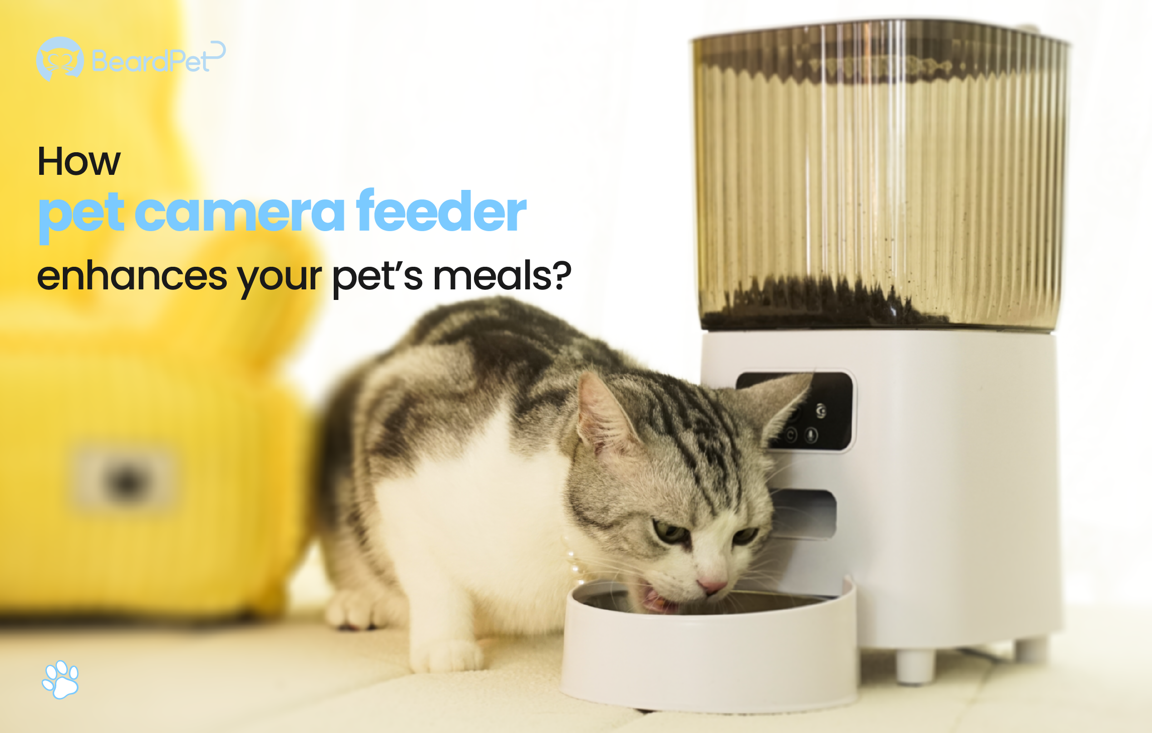 How pet camera feeder enhances your pet's meals?